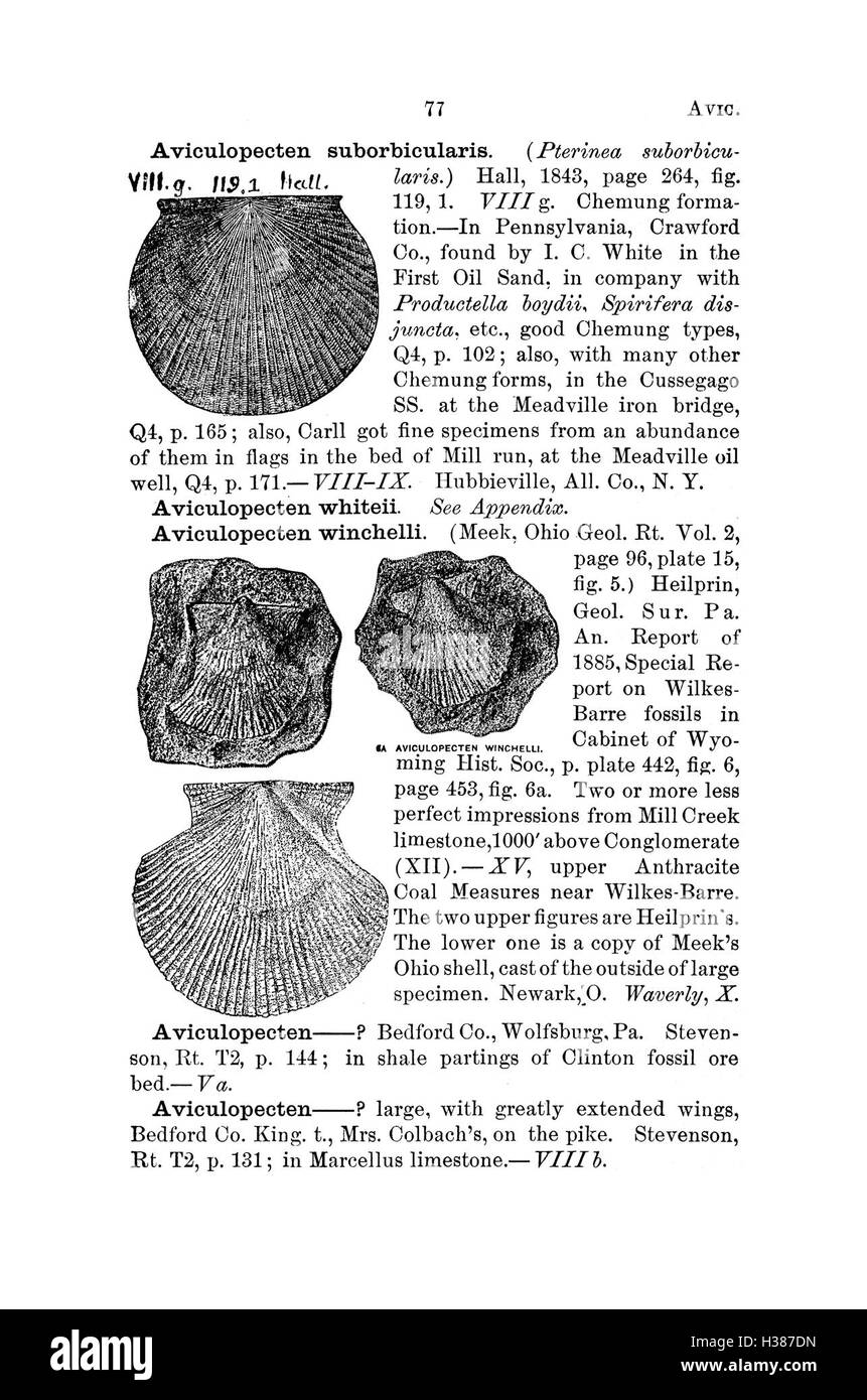 Ce dictionnaire énumère et catégorise les espèces fossiles trouvées en Pennsylvanie et dans les états environnants, en se référant aux rapports et relevés mentionnés à la page 77. Banque D'Images
