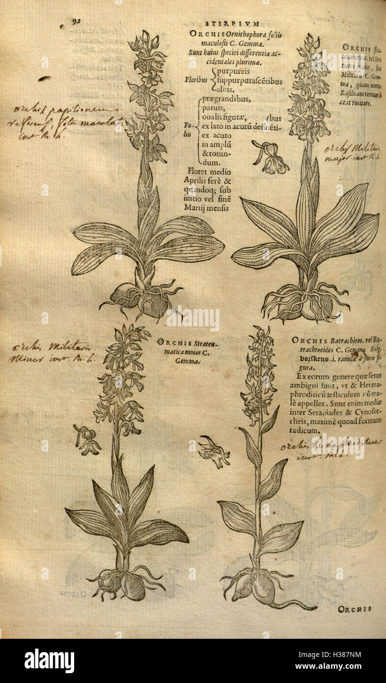 Ce travail botanique couvre l'histoire des plantes, y compris leur classification et leurs propriétés médicinales, comme décrit à la page 92. Banque D'Images