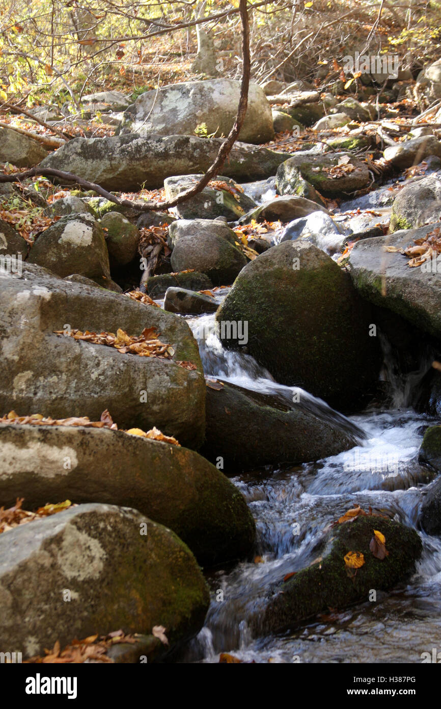 Ruisseau de montagne à travers les rochers Banque D'Images