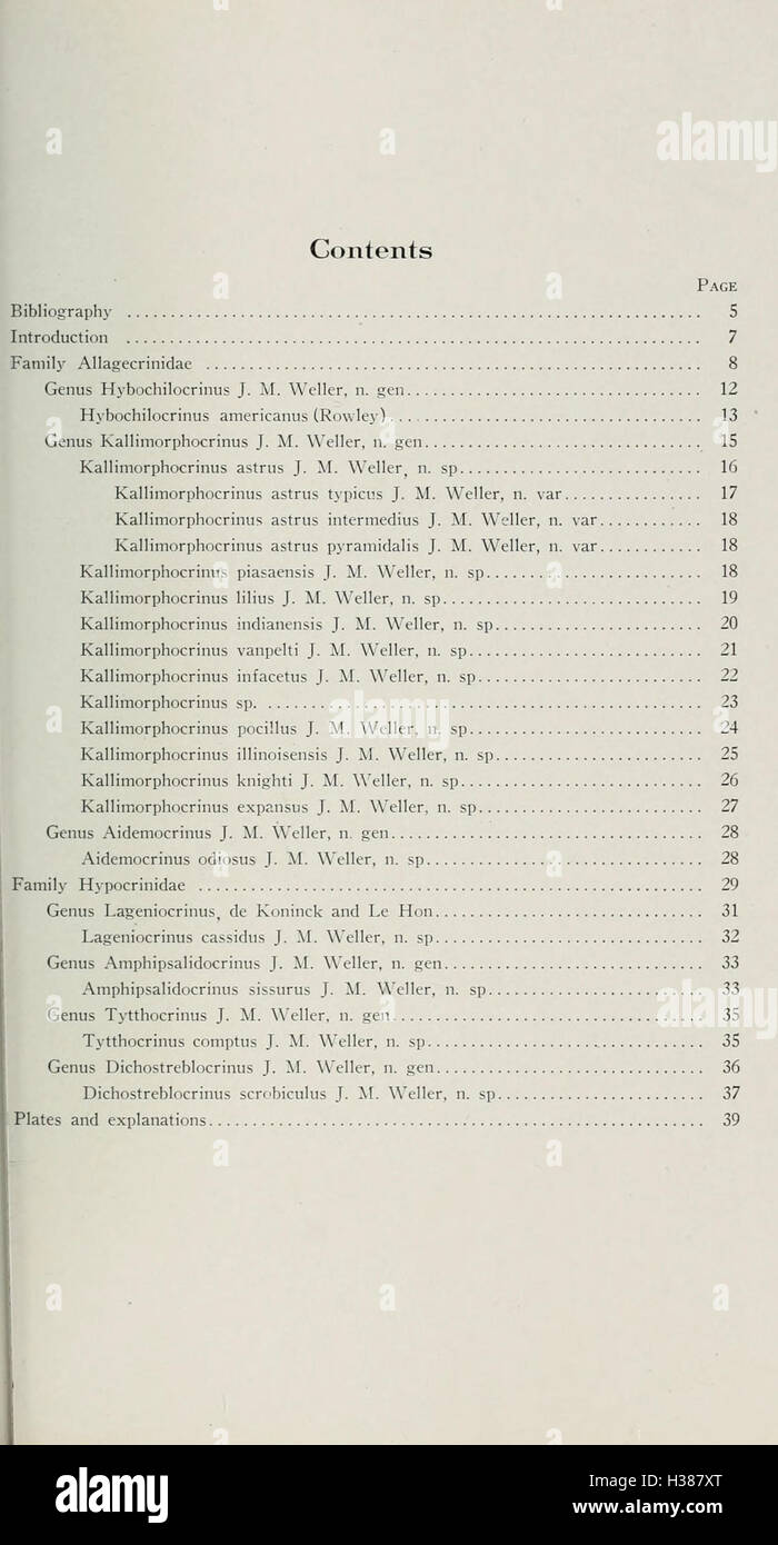 Cette étude examine les crinoïdes larviformes trouvés dans les strates du Pennsylvanie inférieur, en se concentrant sur leur classification, leur rôle écologique et les preuves fossiles. Banque D'Images