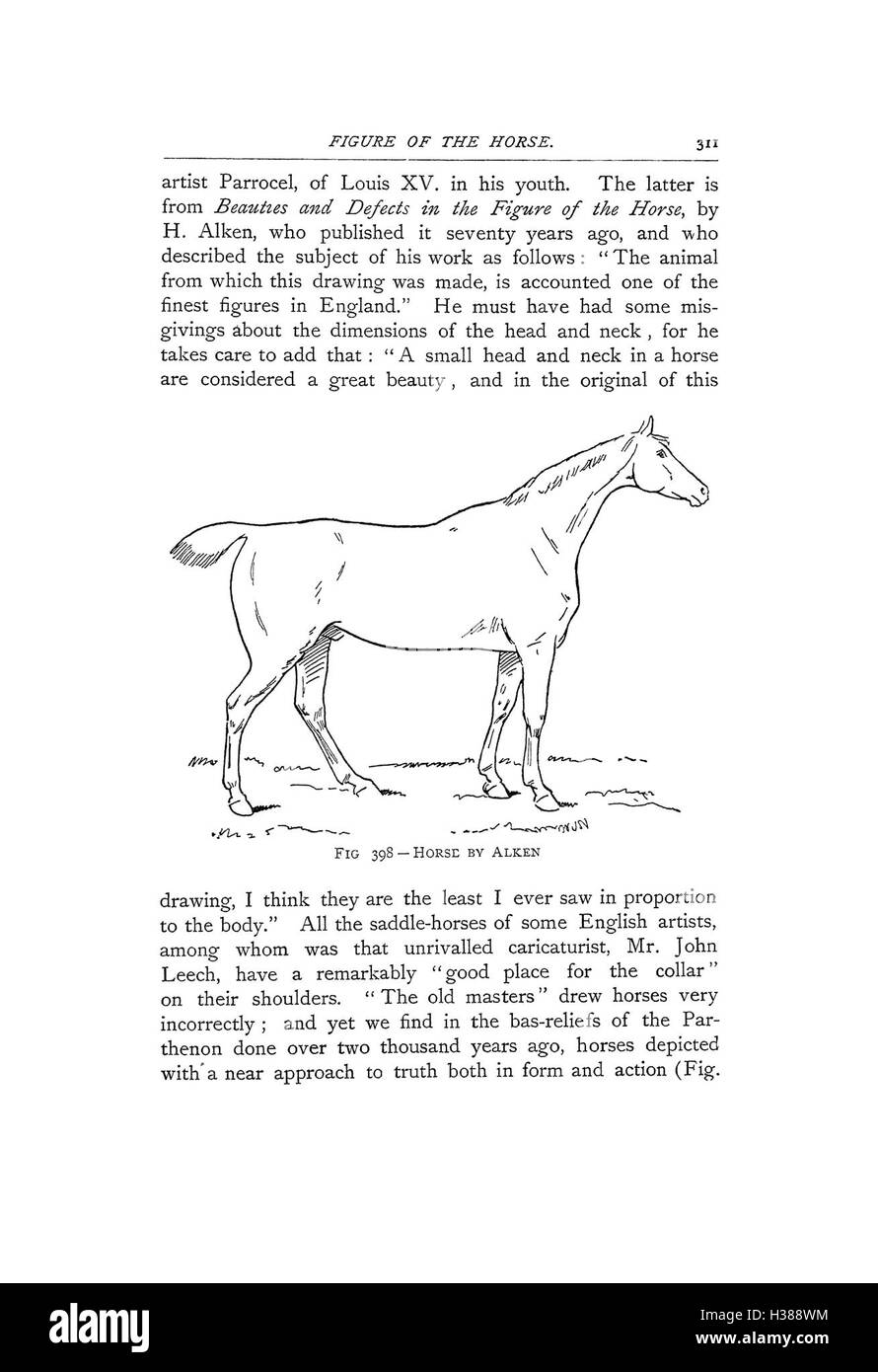 Ce texte propose une étude détaillée des caractéristiques anatomiques et des points d'un cheval, utile pour comprendre la structure équine et sa pertinence pour la santé et la performance. Banque D'Images