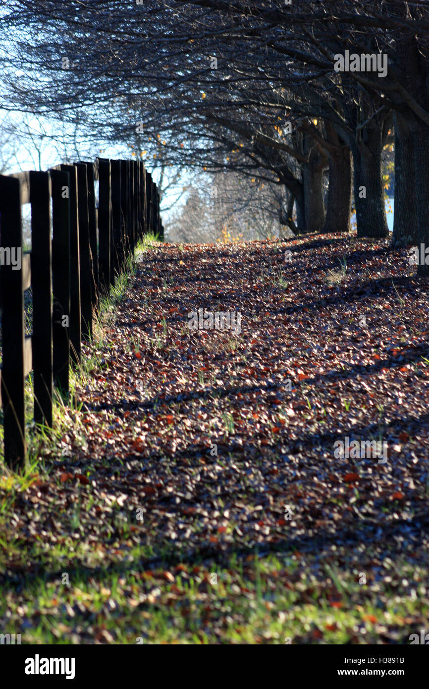 Voir le long d'une clôture en bois à l'automne Banque D'Images