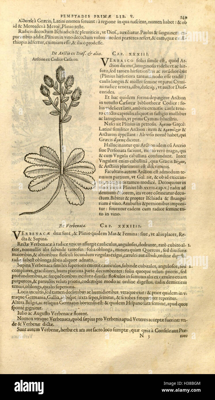 Un vaste travail botanique de Remberti Dodonaei, axé sur l'histoire et la classification des espèces végétales. Banque D'Images