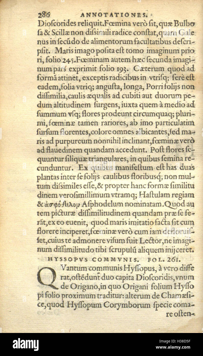 Cet ouvrage de Rembert Dodonaeus présente des illustrations détaillées et des descriptions d'espèces végétales, en se concentrant sur la classification et les utilisations médicinales de diverses plantes. Banque D'Images