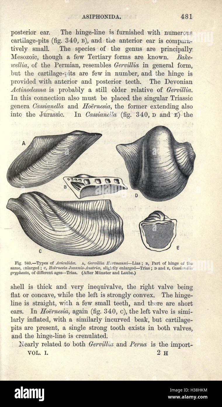 Un manuel axé sur les étudiants sur la paléontologie, y compris l'identification des fossiles, la classification des espèces et les théories évolutionnaires, comme on le voit à la page 481. Banque D'Images