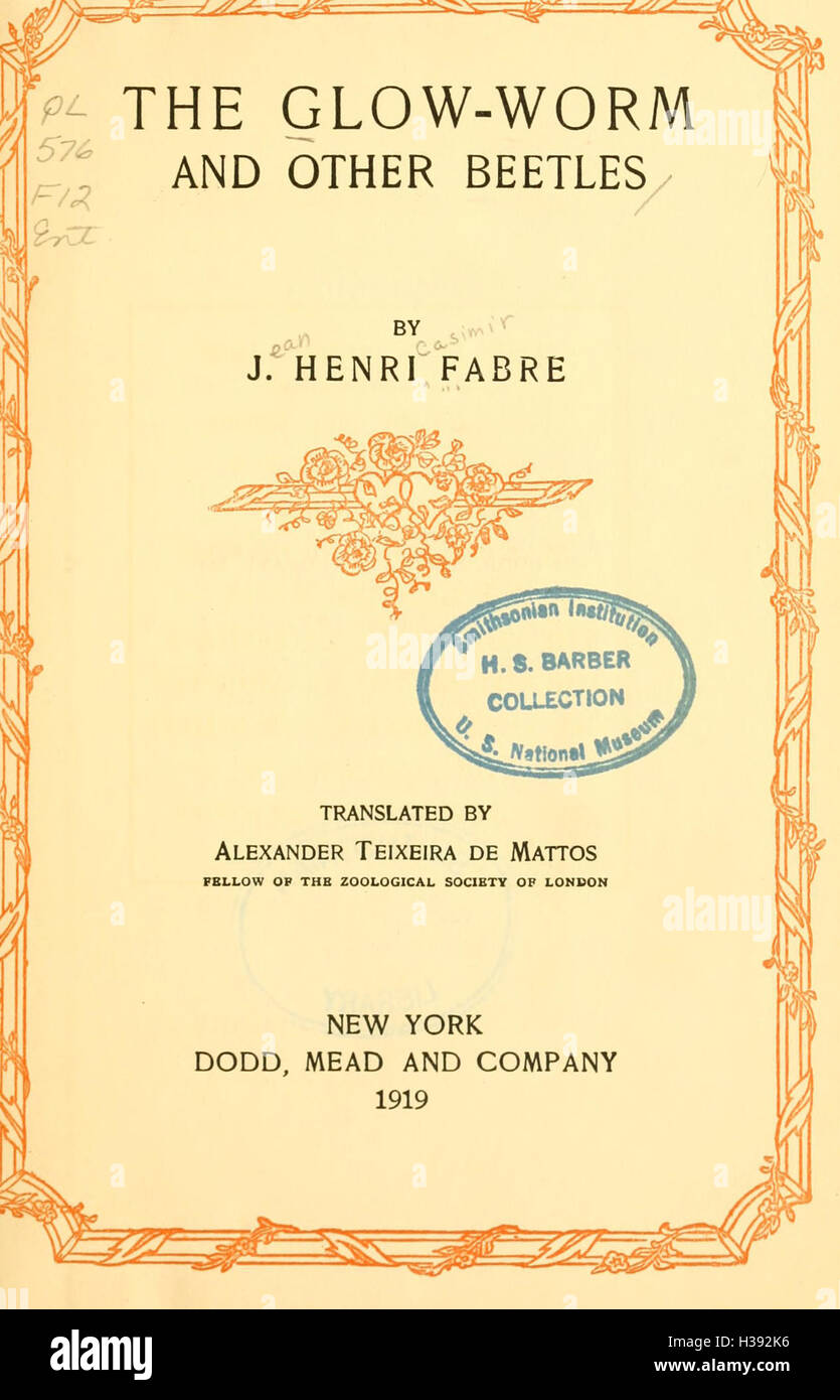 Ce travail explore la biologie et les caractéristiques des vers luisants et autres coléoptères, en se concentrant sur leur comportement, leurs habitats et leurs rôles écologiques dans leurs environnements. Banque D'Images