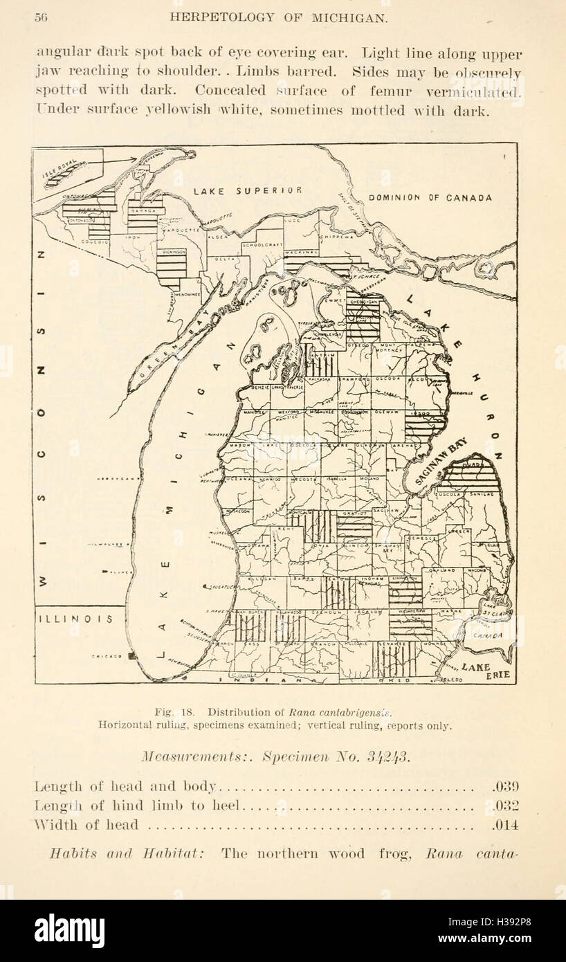 L'herpétologie du Michigan (page 56, fig. 18) BHL205 Banque D'Images