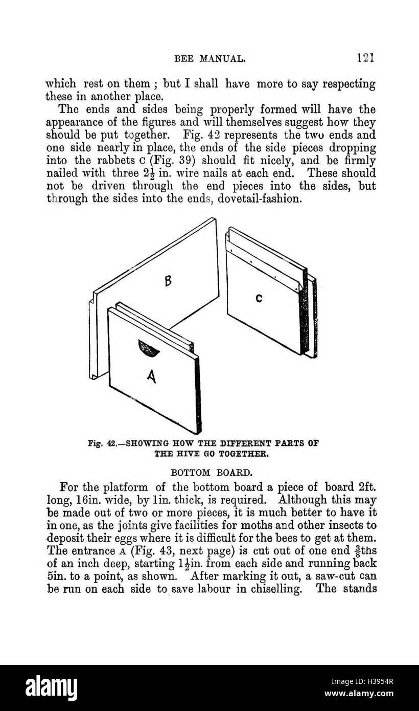 Un guide complet sur la culture des abeilles dans l'hémisphère sud, couvrant les techniques d'apiculture, la gestion des ruches et les types d'abeilles indigènes d'Australasie. Le manuel offre des conseils pratiques aux apiculteurs modernes et des détails sur la santé des abeilles, la production de miel et les processus de pollinisation. Banque D'Images