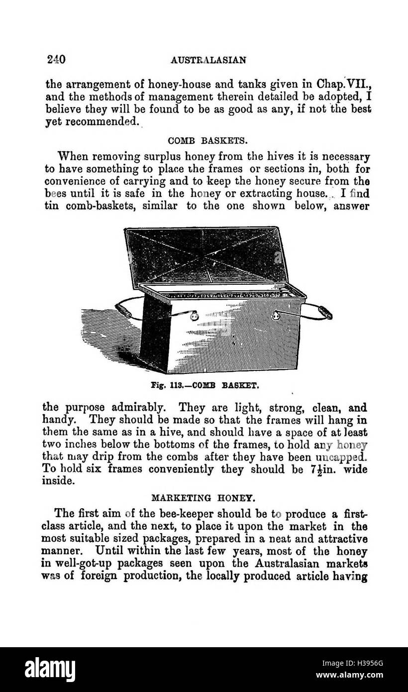 Ce guide offre des instructions détaillées sur les pratiques apicoles modernes dans l’hémisphère Sud, en se concentrant sur la biologie des abeilles, la gestion des ruches et les techniques de production de miel. Banque D'Images