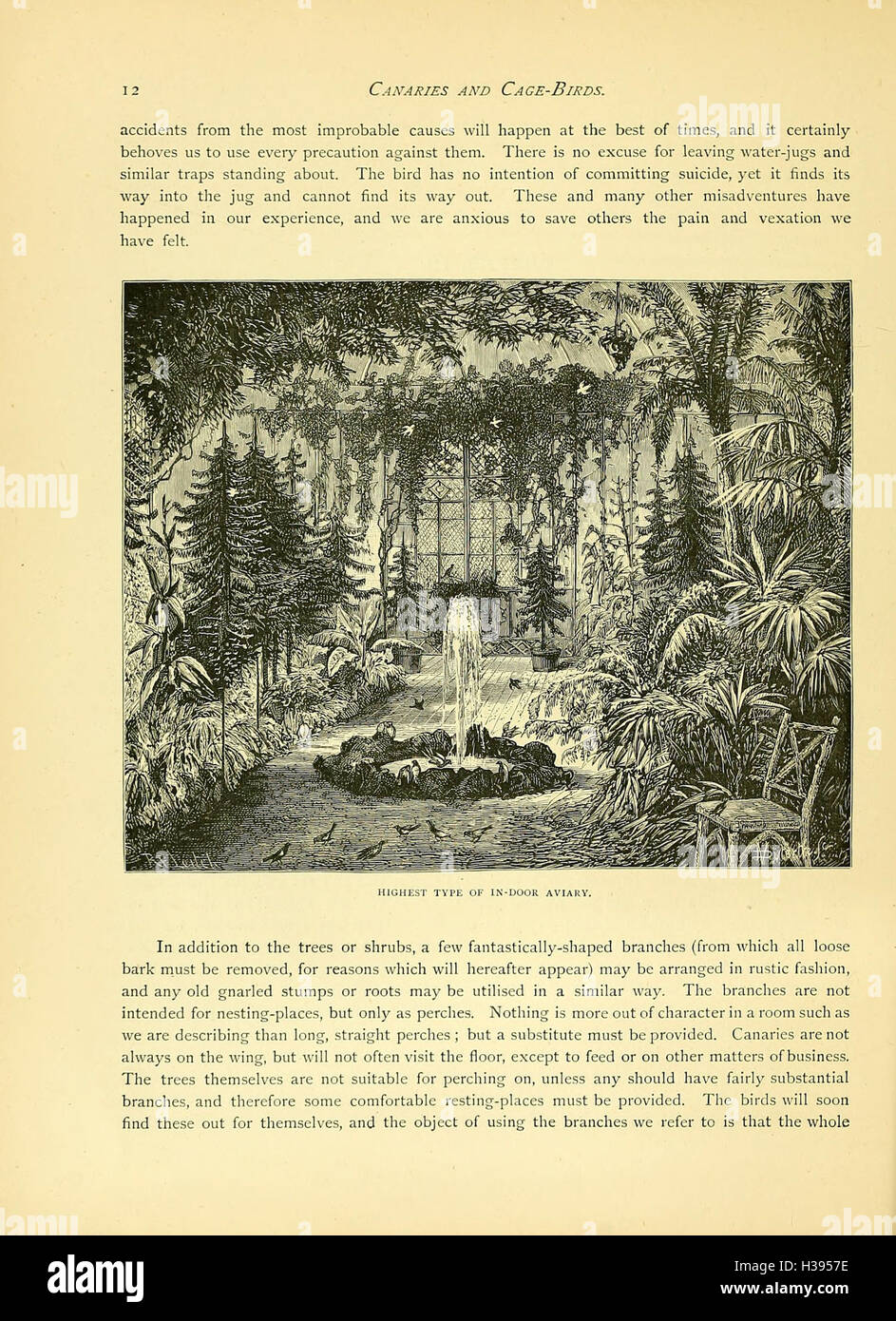 Ce livre illustré donne un aperçu des canaris et des oiseaux-cages, espèces britanniques et étrangères, décrivant leurs soins, leur élevage et leur gestion des cages. Banque D'Images