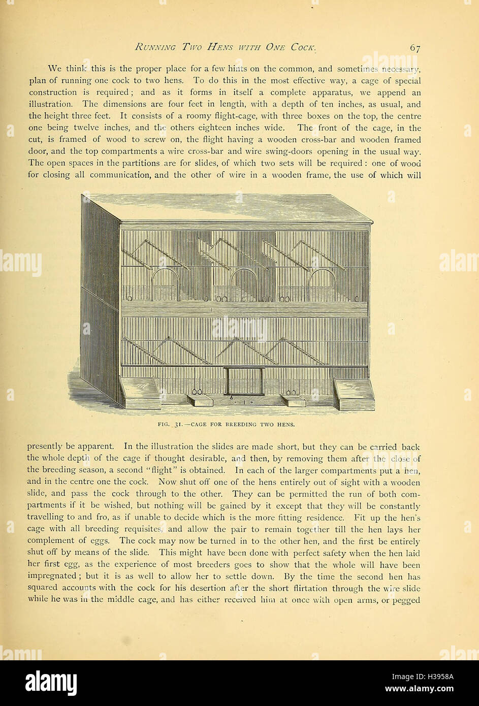 Ce guide illustré fournit des informations sur diverses espèces de canaris et d'oiseaux-cages, britanniques et étrangers, couvrant leurs soins, leurs caractéristiques et leur reproduction. Banque D'Images