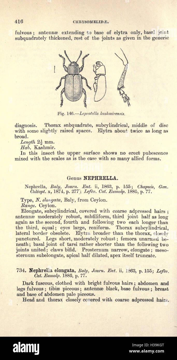 Ce travail fournit un catalogue de diverses espèces de coléoptères, détaillant leur classification, leur répartition et leurs caractéristiques. Banque D'Images