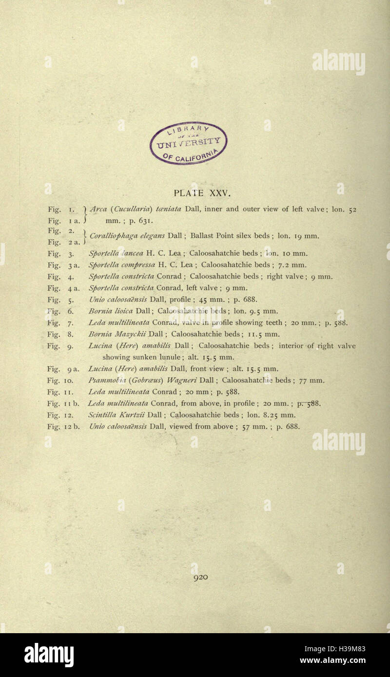 Ce travail fournit des contributions détaillées à la compréhension de la faune tertiaire de Floride, en se concentrant sur la diversité de la vie animale au cours de cette période géologique. L'étude comprend des découvertes de fossiles et l'identification d'espèces de l'ère tertiaire. Banque D'Images