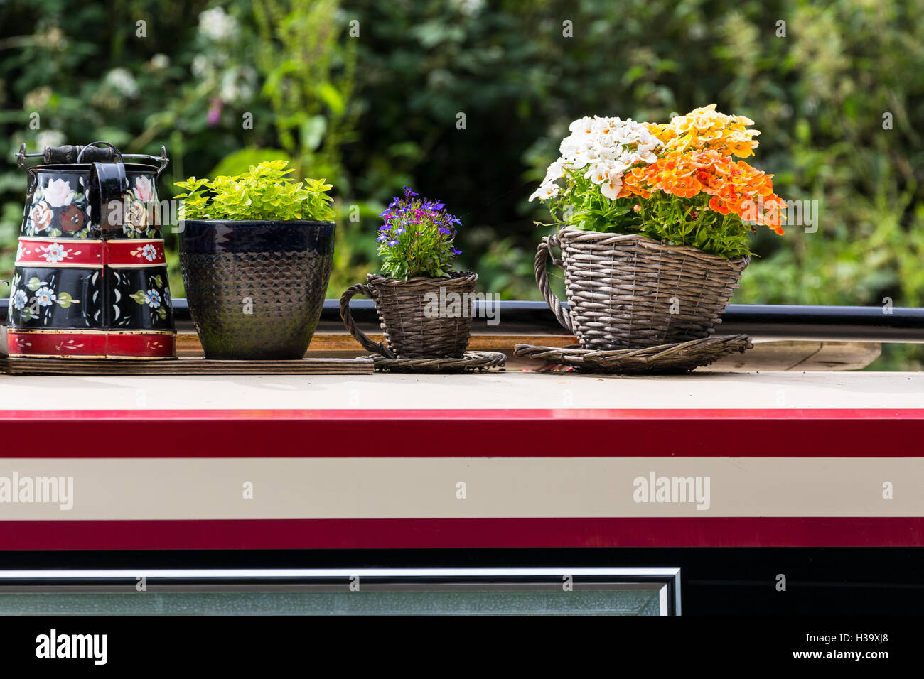 Barge roof top garden pots UK, à côté d'Anderton à bateau rivière Weaver Navigation Banque D'Images