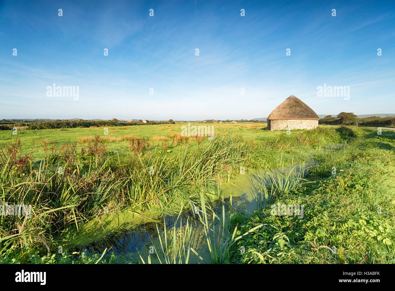 Une grange au toit de chaume connu comme linhay circulaire sur les terres agricoles à Braunton Devon dans les marais près de Barnstaple Banque D'Images Une grange au toit de chaume connu comme linhay circulaire sur les terres agricoles à Braunton Devon dans les marais près de Barnstaple Banque D'Images