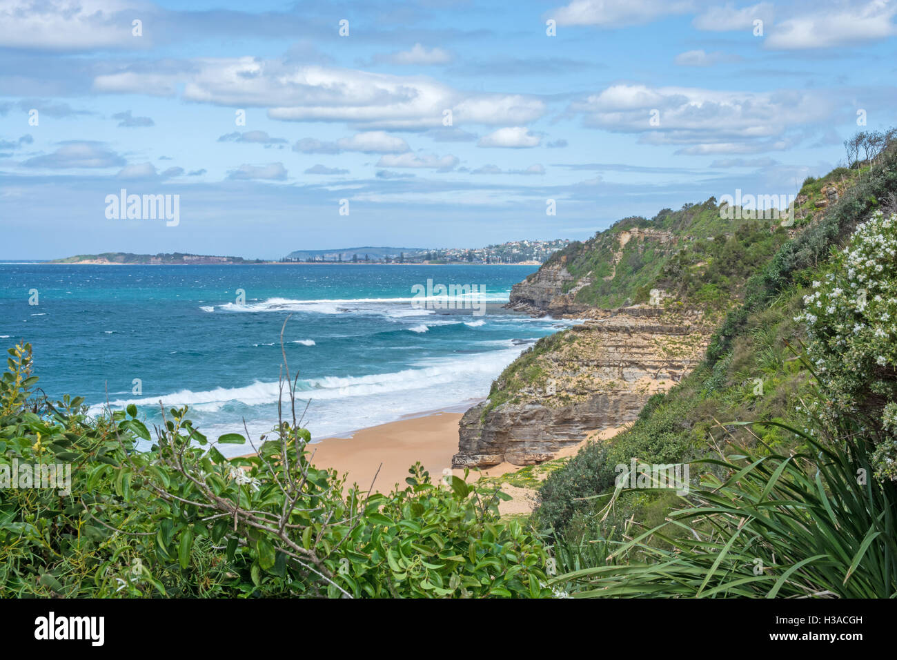 Turimetta Beach. Sur la péninsule de Sydney Banlieue Nord. L'Australie. Banque D'Images