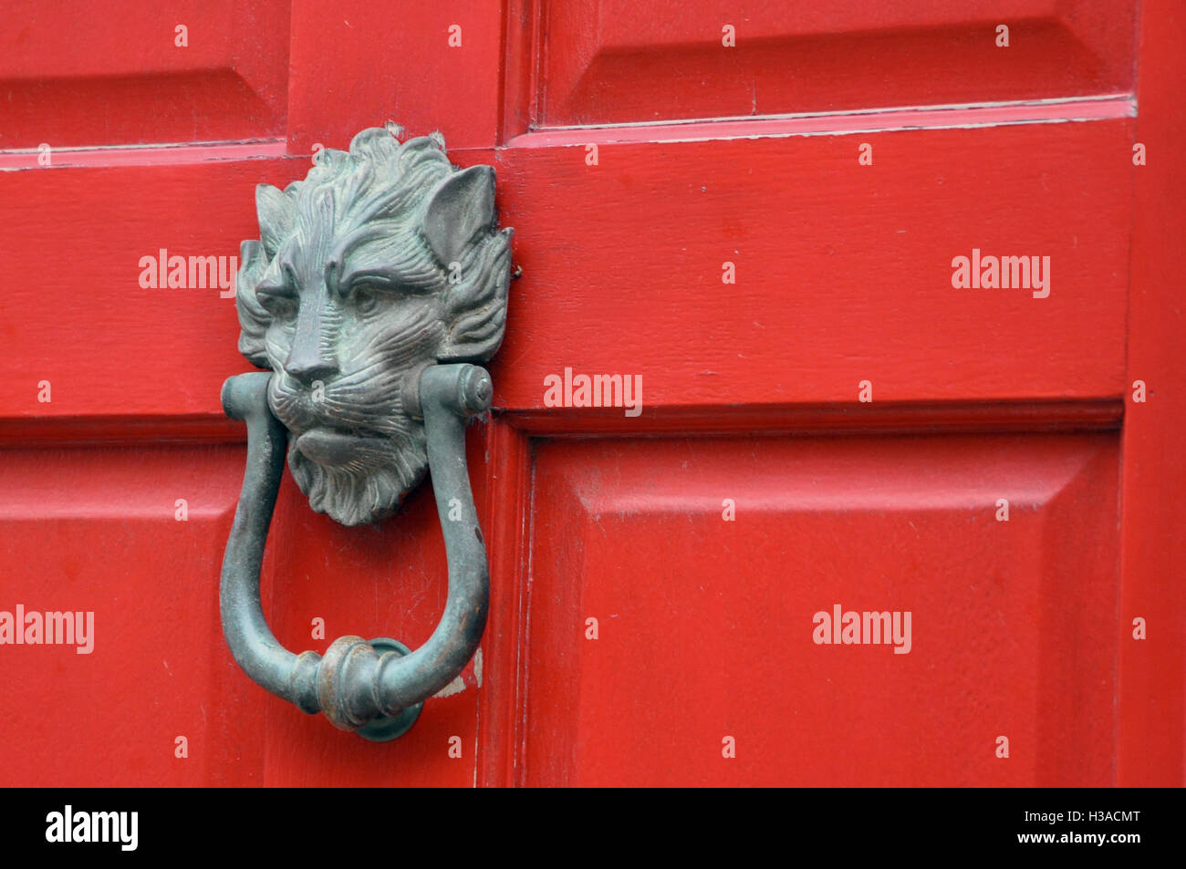 Battant Pour Porte en Laiton Foncé Tête Lion