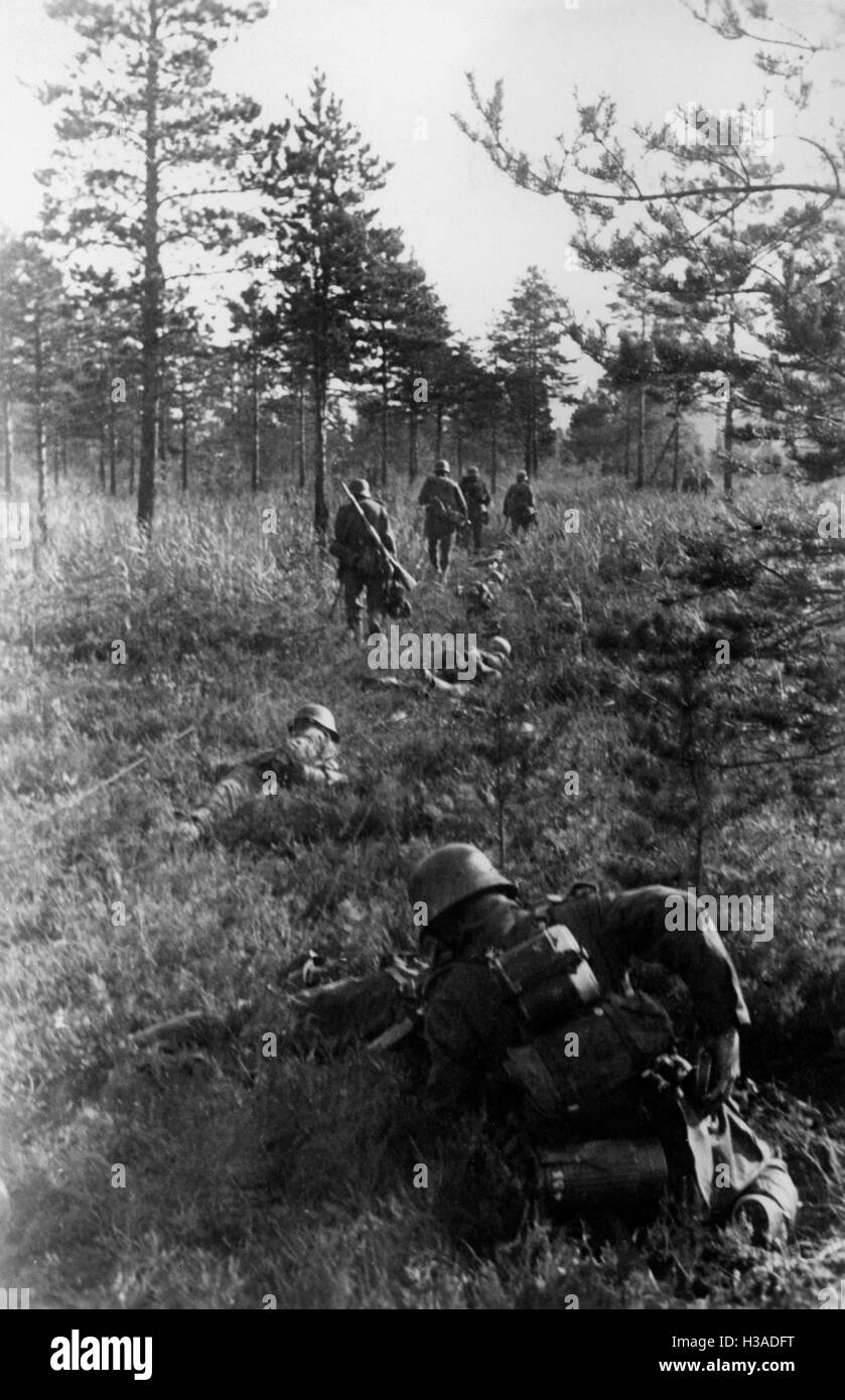 L'infanterie allemande sur le front de l'Est, 1941 Banque D'Images