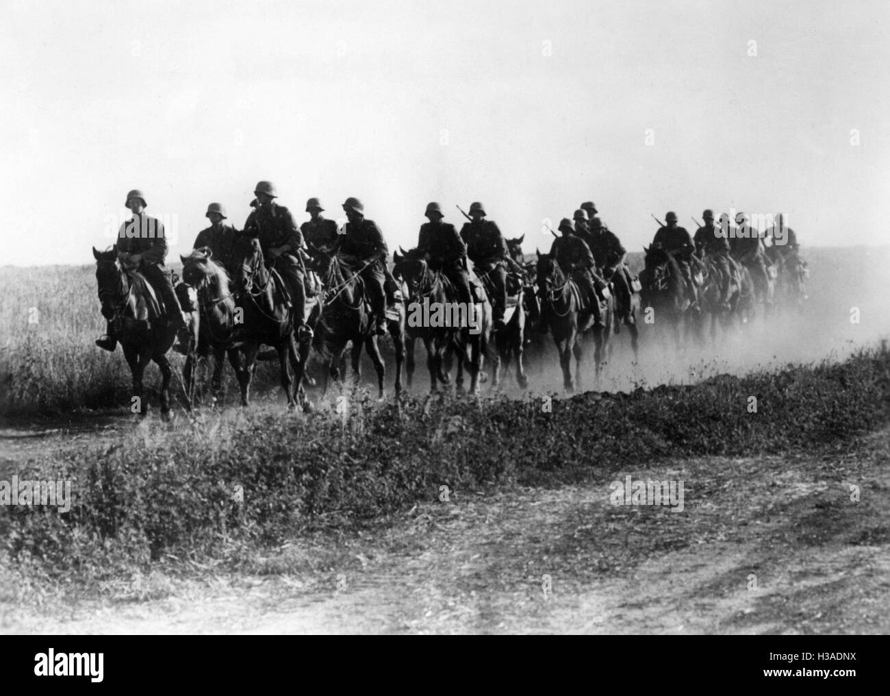 Cavalerie allemande sur le front de l'Est, 1941 Banque D'Images