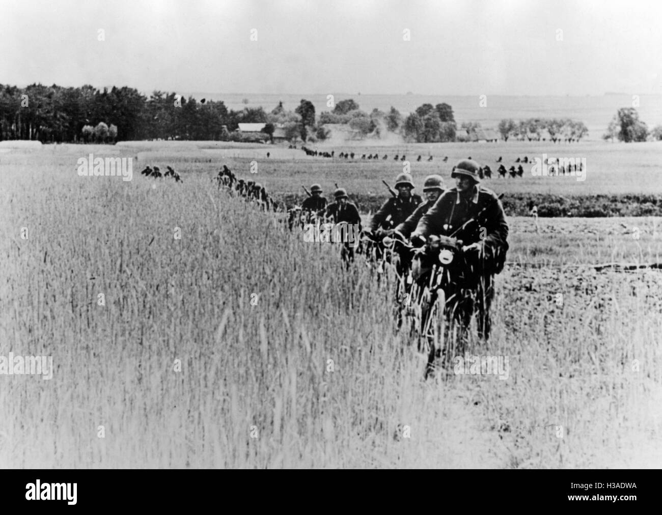 La division à roues de la Wehrmacht sur le front de l'Est, 1941 Banque D'Images