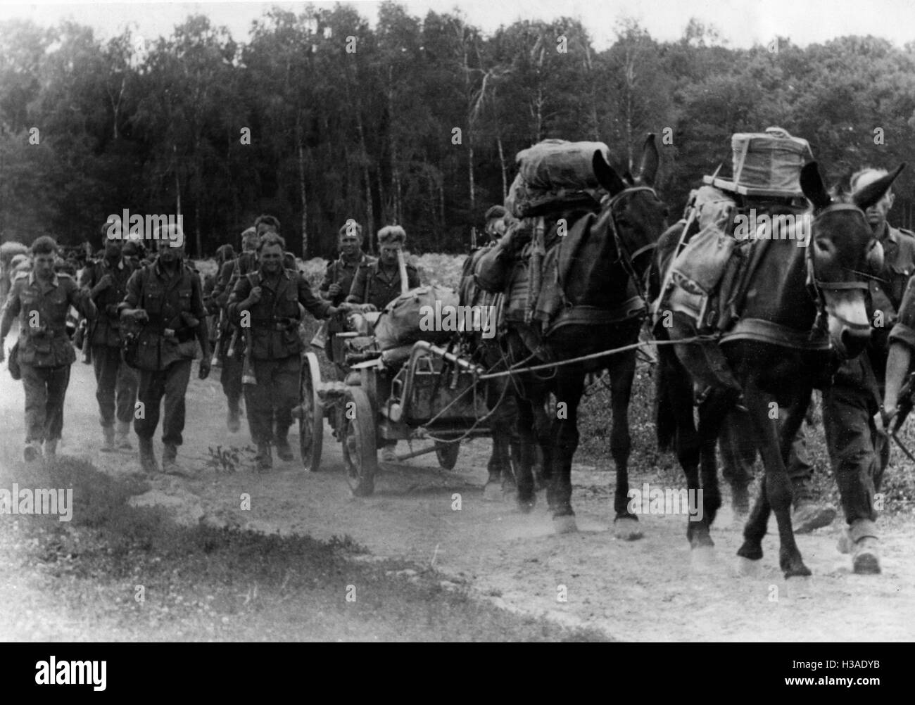 Bataillon d'infanterie de montagne allemand sur l'avance dans le Front de l'Est, 1941 Banque D'Images