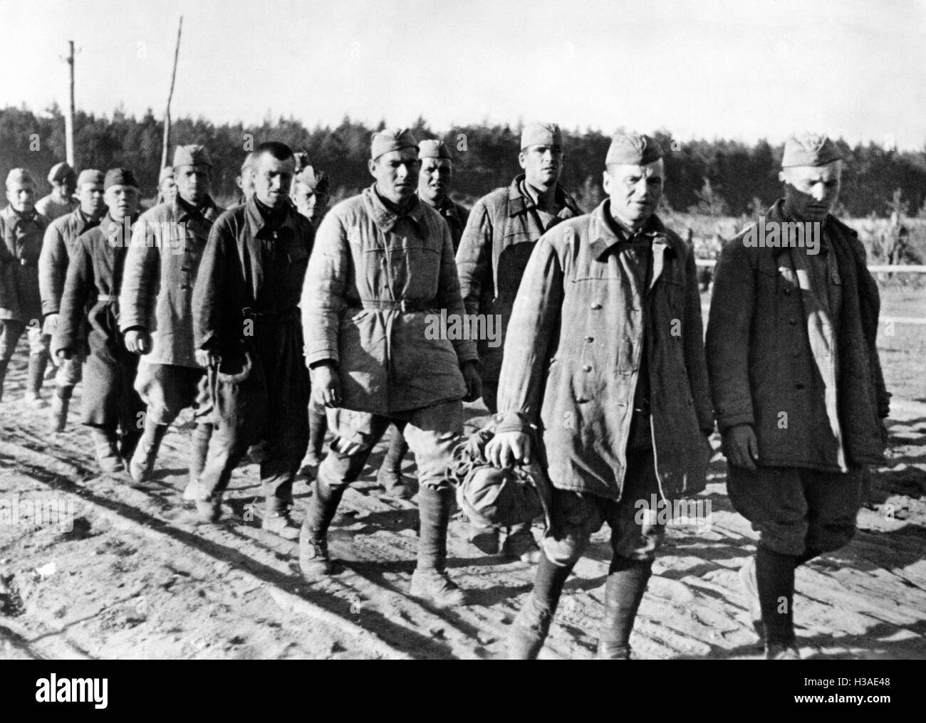 Les prisonniers de guerre soviétiques au début de la campagne de Russie, 1941 Banque D'Images