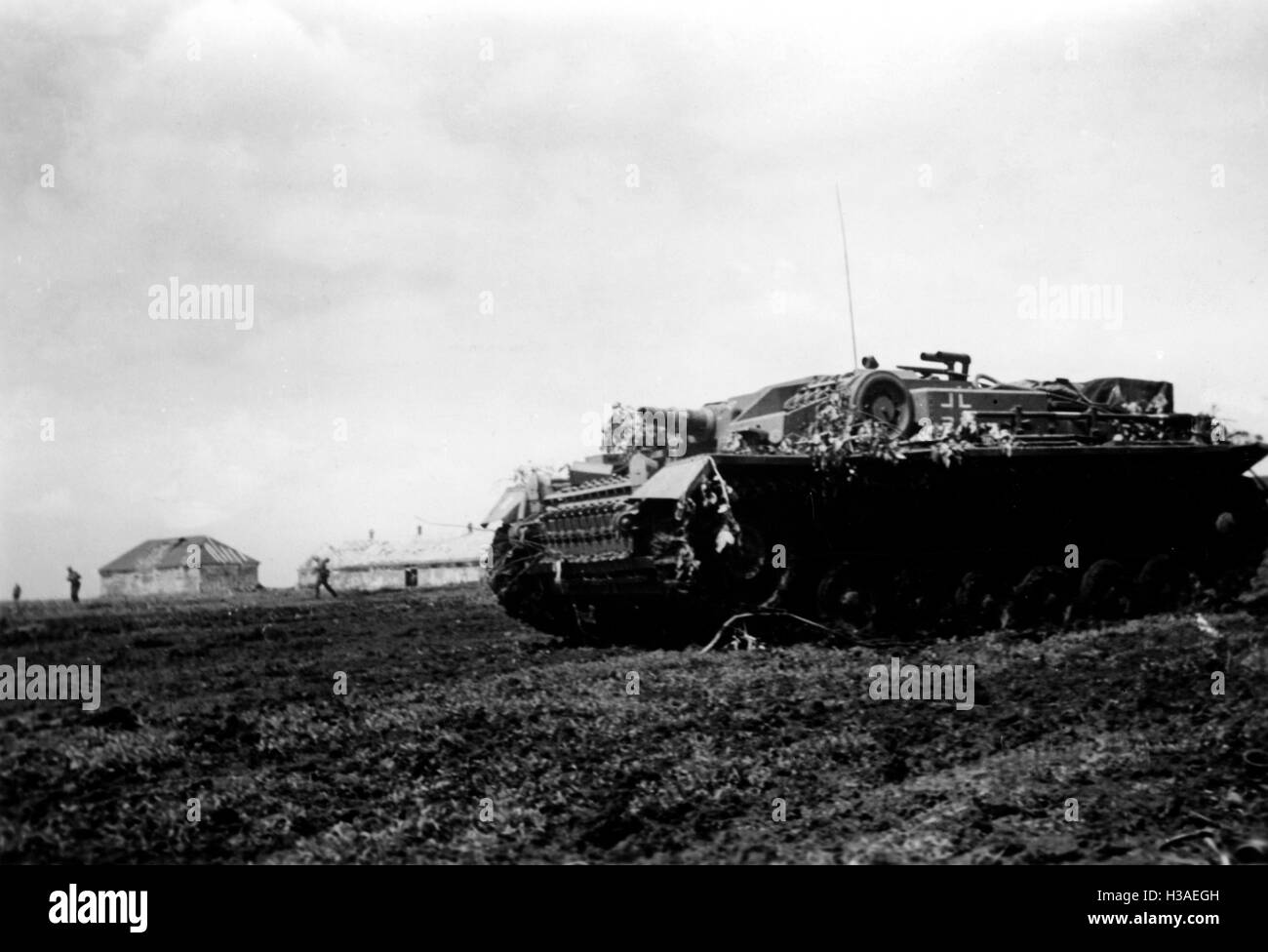 Pistolet assaut allemand sur le front de l'Est, Juin 1942 Banque D'Images