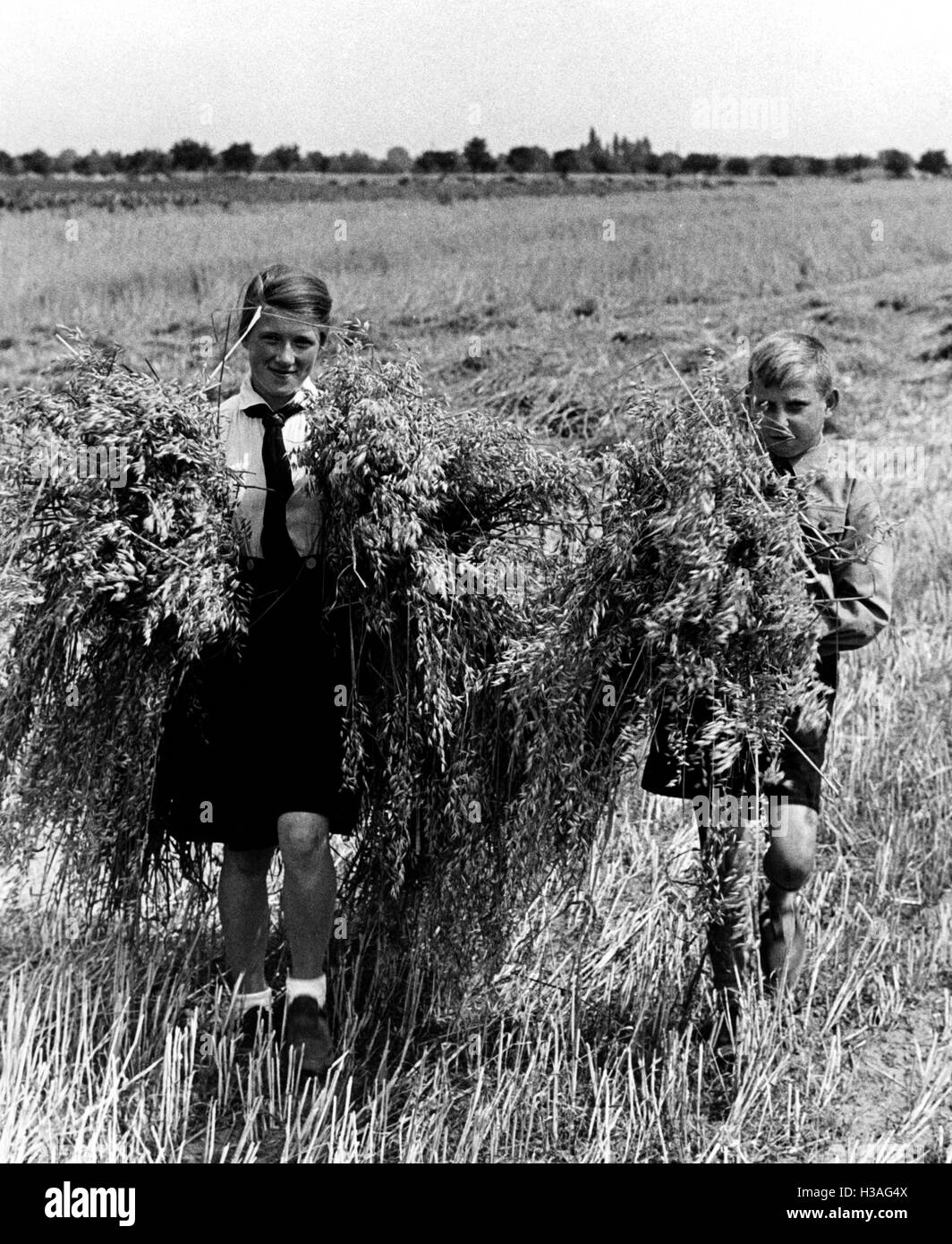 Landdienst durant la récolte des jeunes, 1939 Banque D'Images