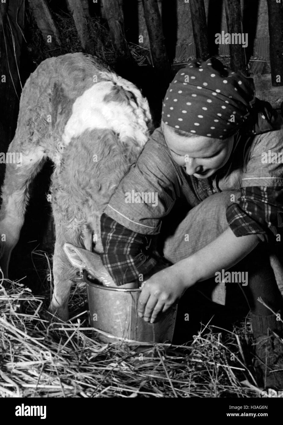 Fille BDM travaillant dans le hangar, 1940 Banque D'Images