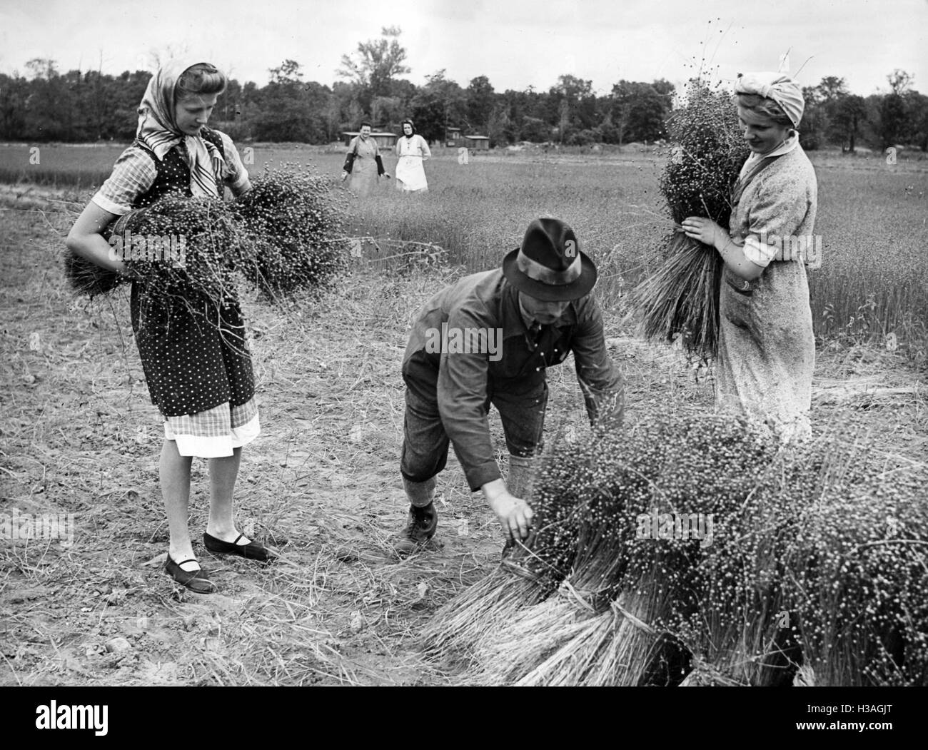 Aides de la récolte de la Ligue des femmes nationales-socialistes, 1940 Banque D'Images
