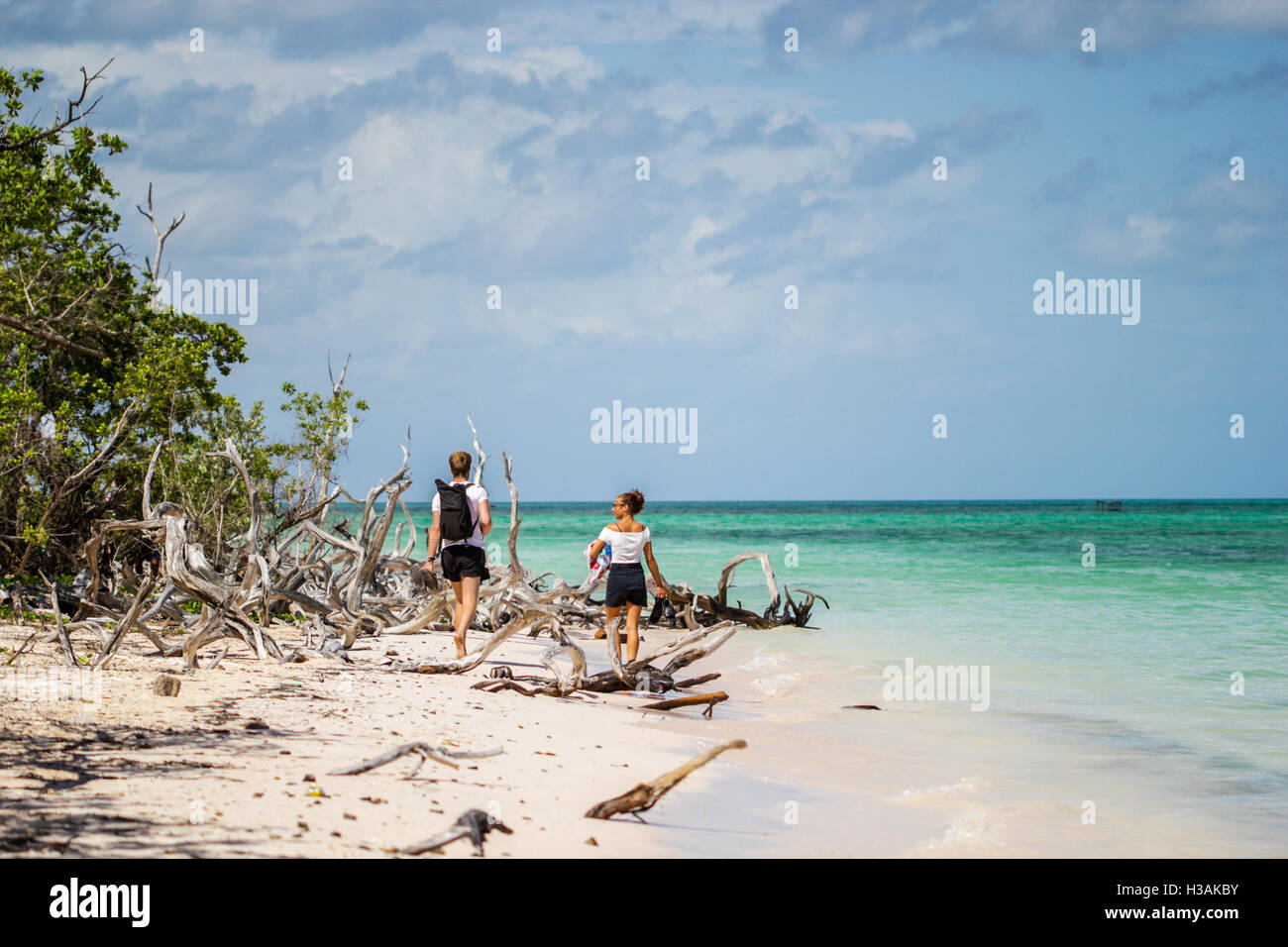 Les gens qui marchent sur la plage de Cuba, le sable est couvert par les forêts sèches dérive d'une mer Banque D'Images