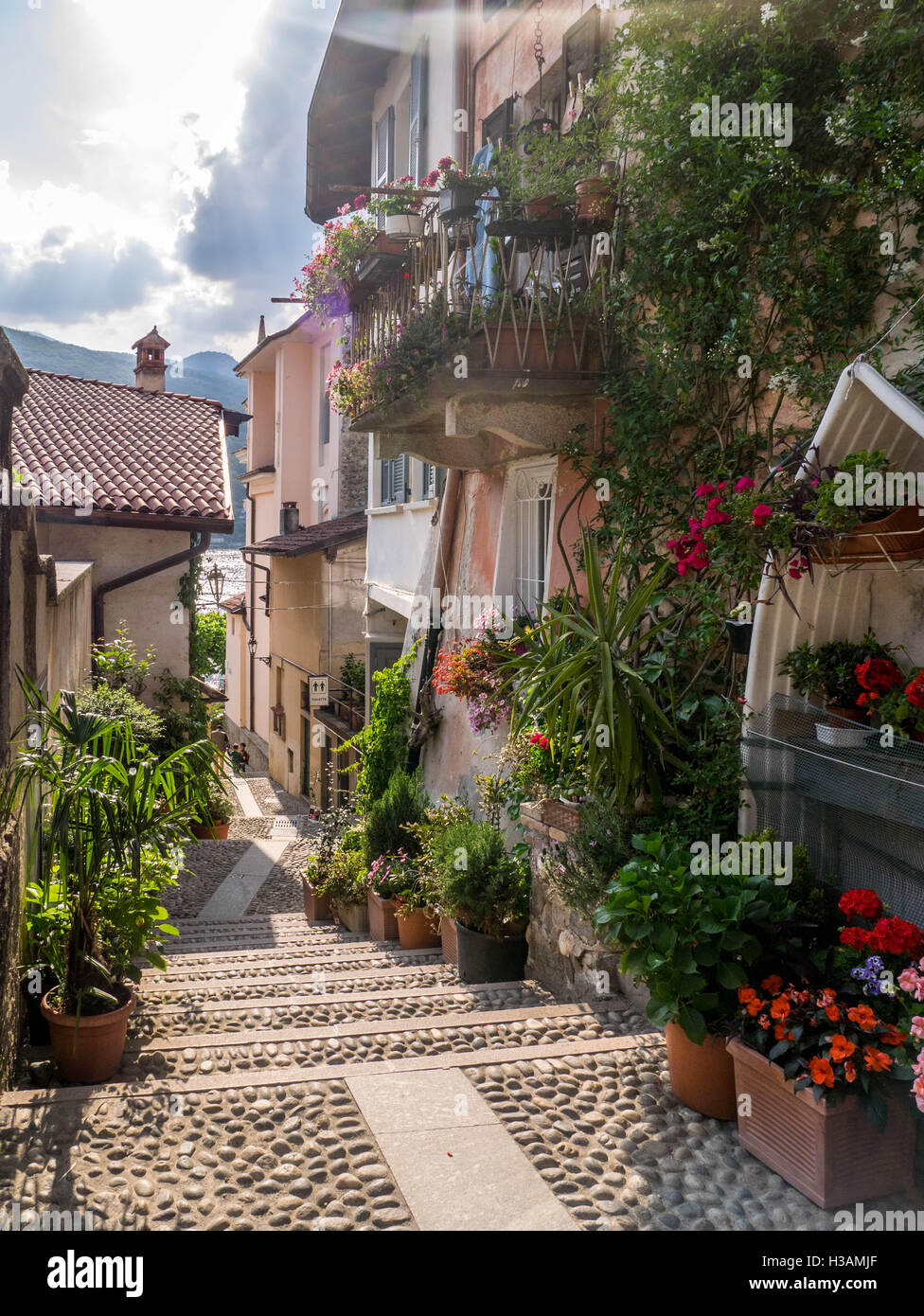 Rues étroites italien capturé pendant l'été quand toutes les fleurs s'épanouir et de rues vides. vieux et maisons historiques où les gens sont encore livin Banque D'Images
