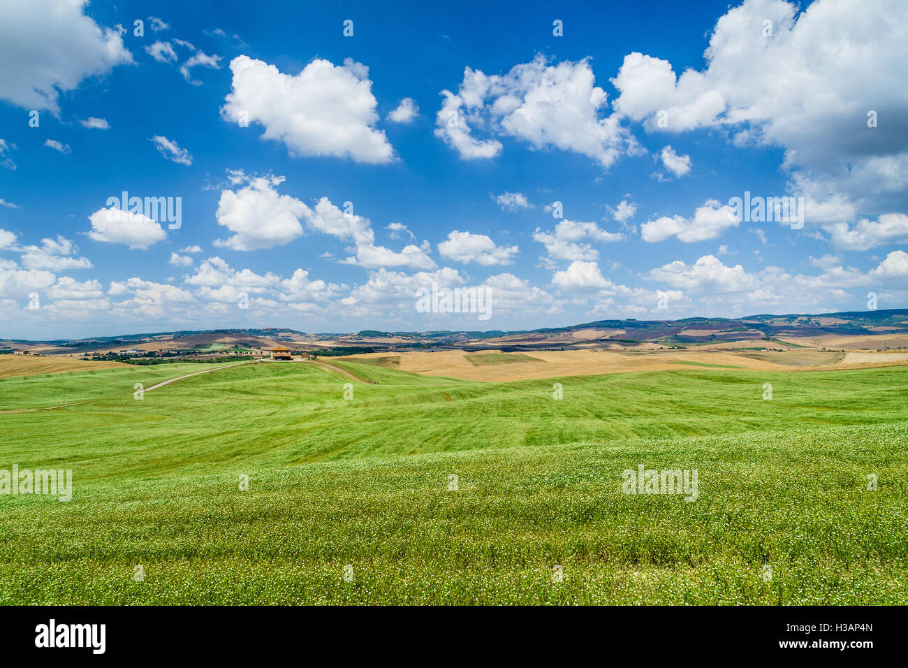 Paysage Toscane pittoresque avec de douces collines et de beaux nuages dans le Val d'Orcia, Italie Banque D'Images