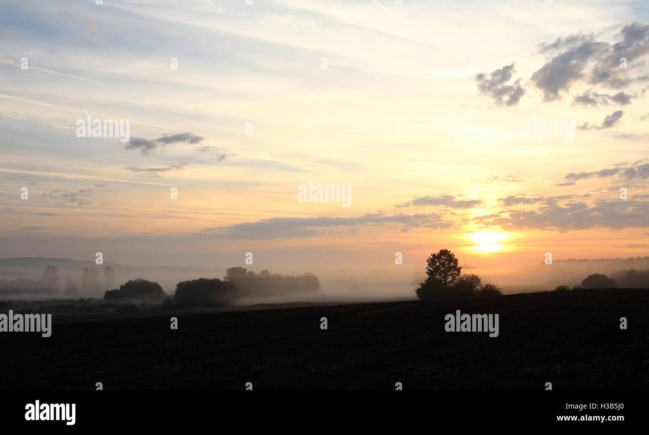 Au cours de l'aube paysage rural Banque D'Images