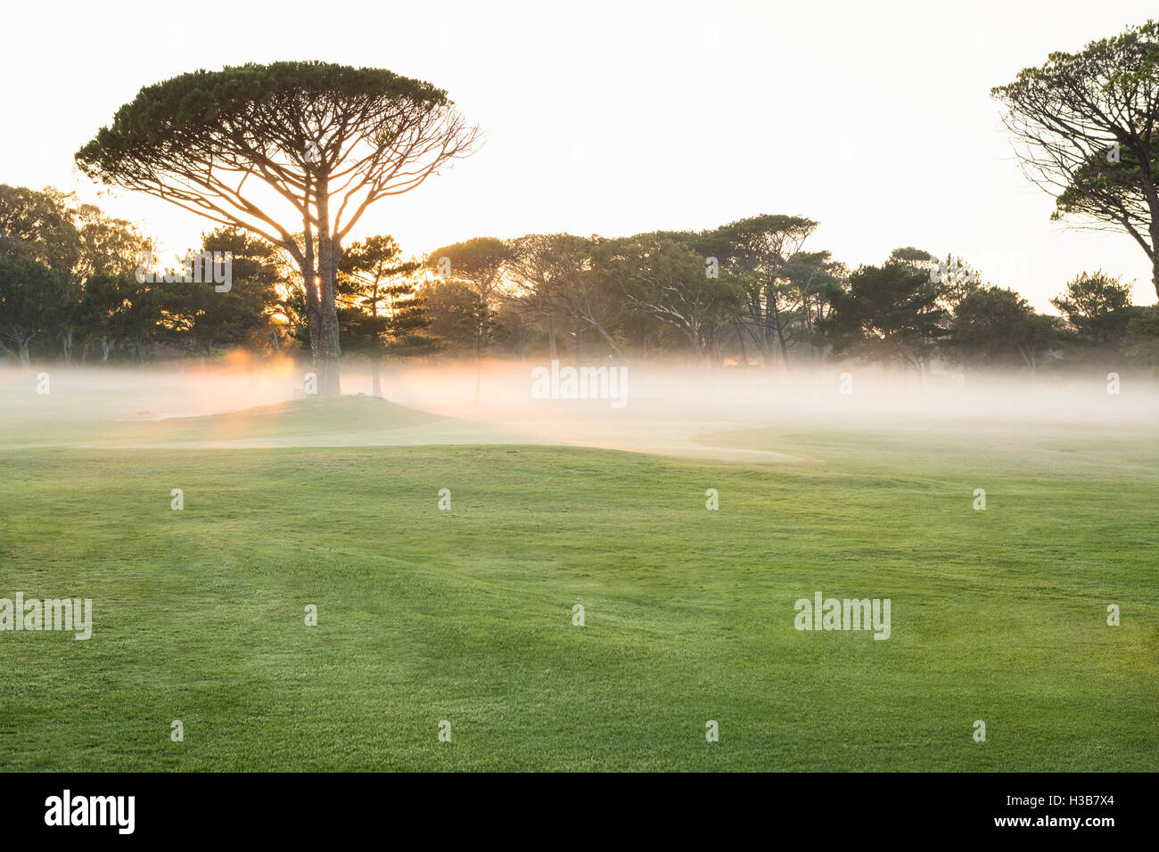 Image d'un golf Banque D'Images