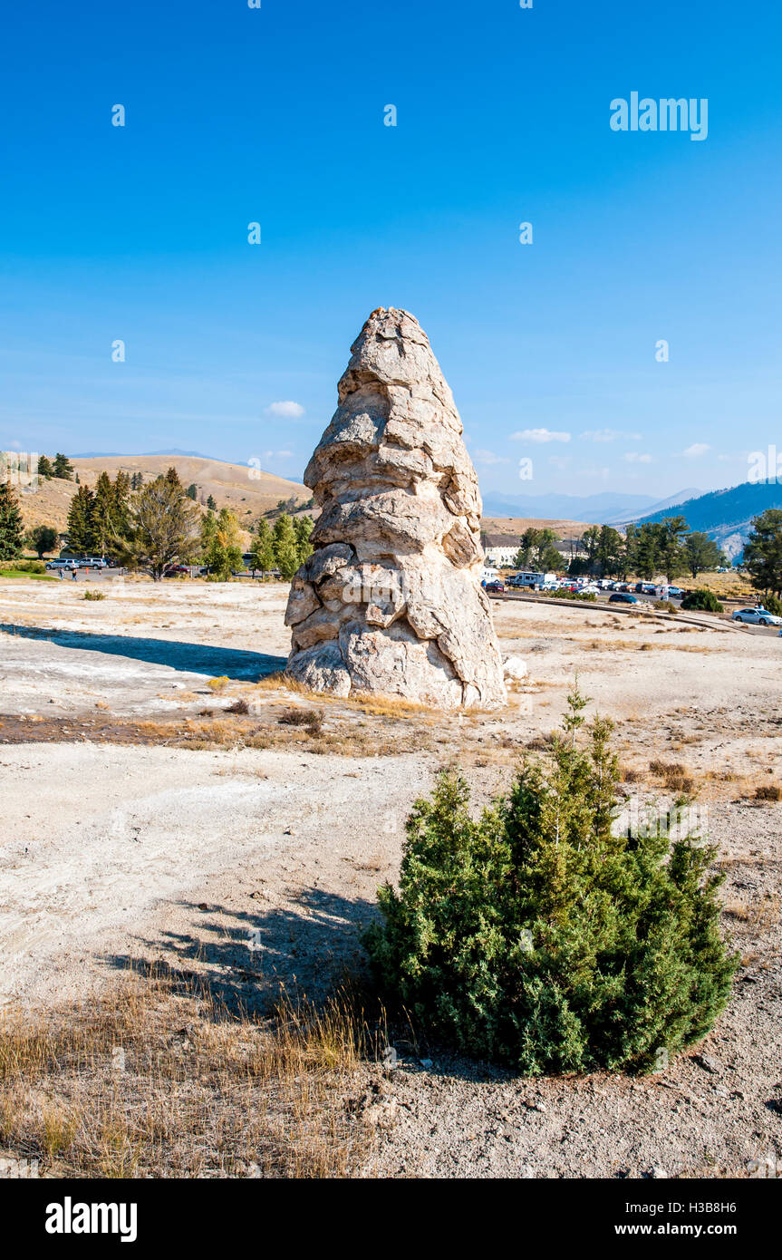Liberty Cap (source chaude cone) Mammoth Hot Springs Parc National de Yellowstone, Wyoming, USA. Banque D'Images