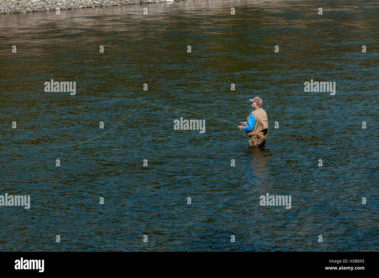 Fisherman fly pêche à la truite dans la rivière Snake, le Parc National de Yellowstone, Wyoming, USA. Banque D'Images