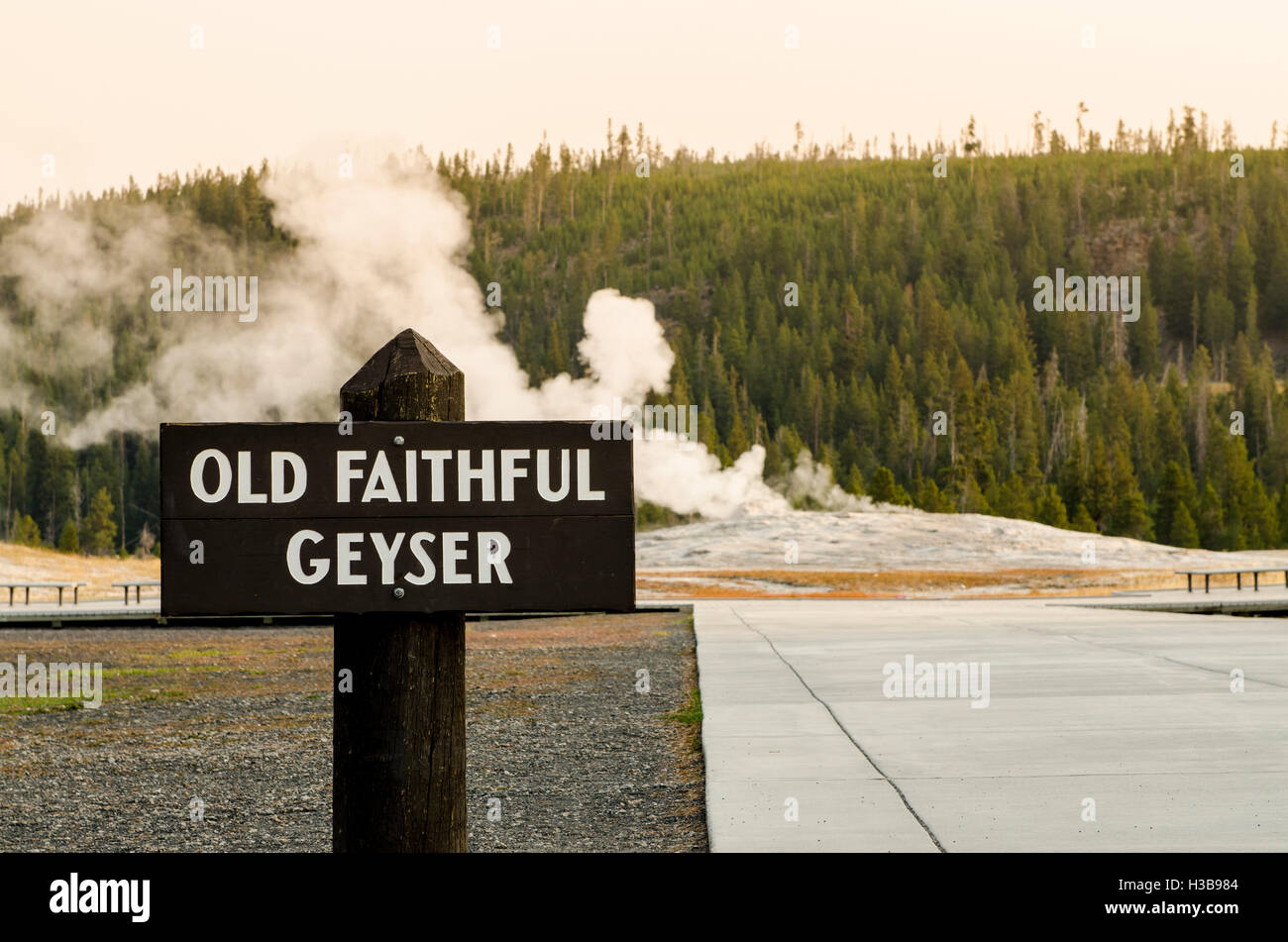 Upper geyser Old Faithful Geyser Basin, Parc National de Yellowstone, Wyoming, USA. Banque D'Images
