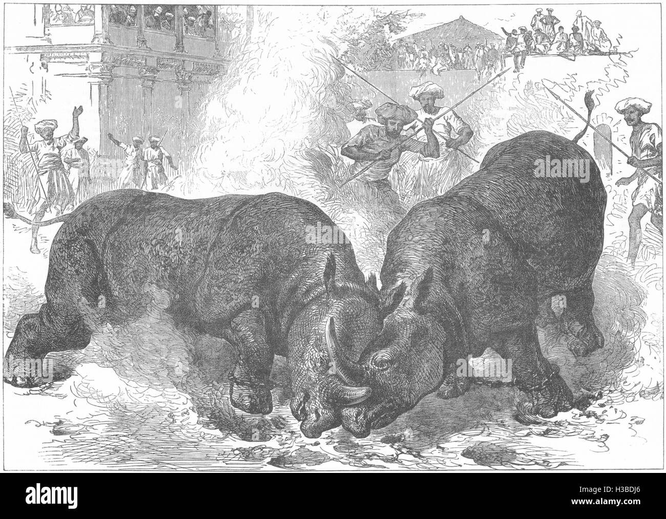 L'INDE Exposition de rhinoceros-combat à Vadodara 1878. L'Illustrated London News Banque D'Images