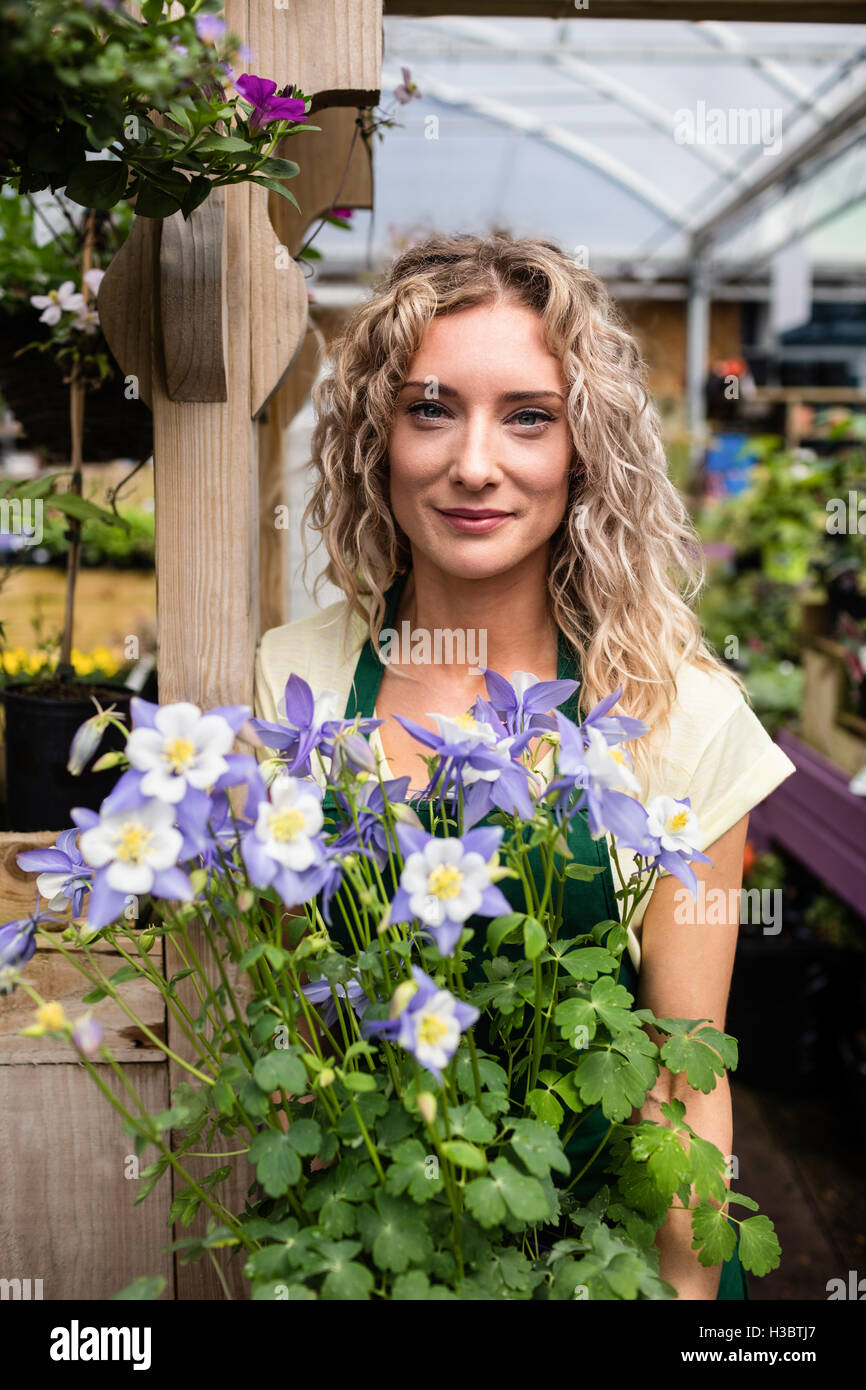 Female florist holding a potted plant Banque D'Images