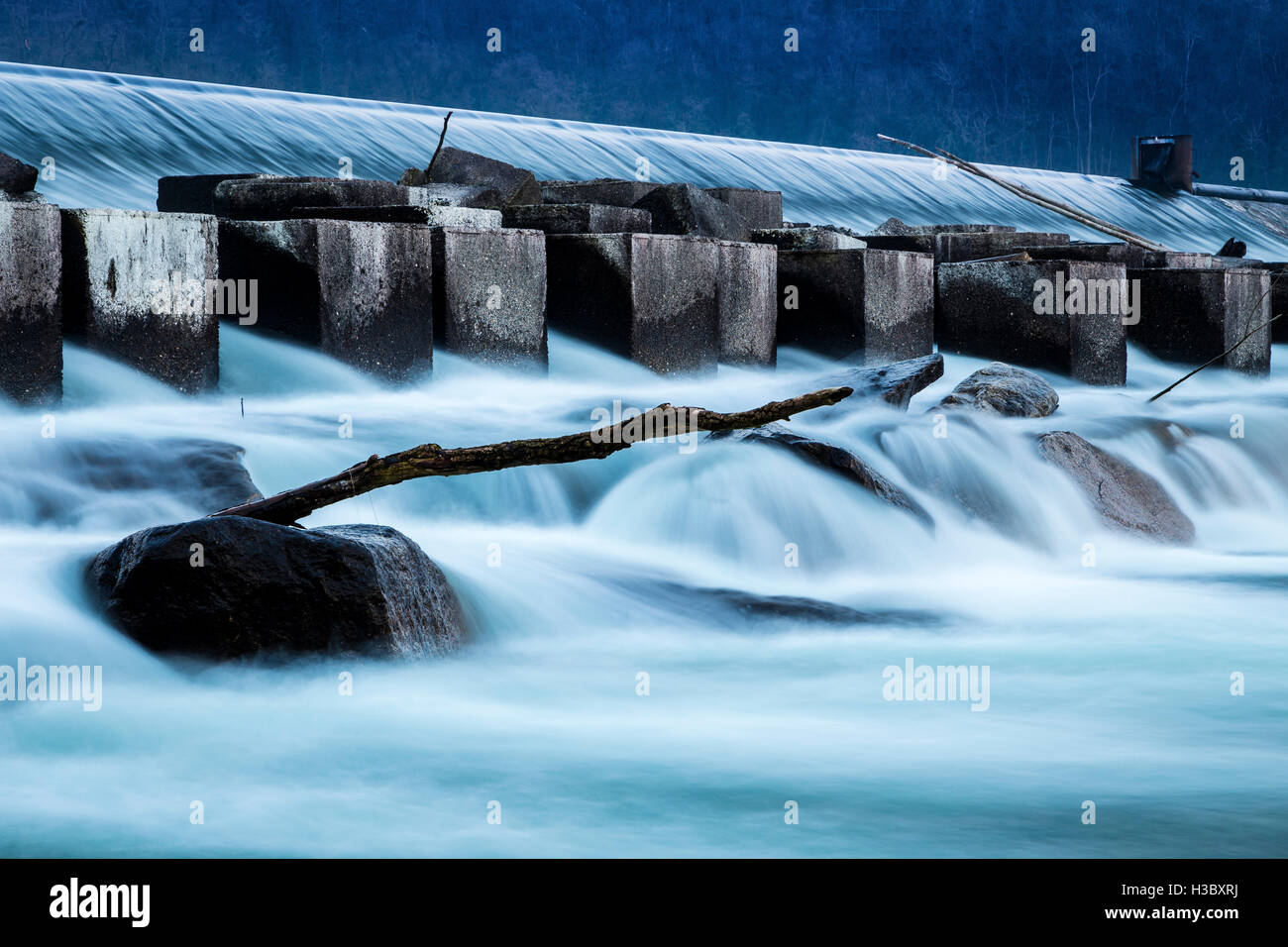 Une branche dans les eaux froides près de Panperduto barrage, Somma Lombardo, Province de Varèse, Lombardie, Italie. Banque D'Images
