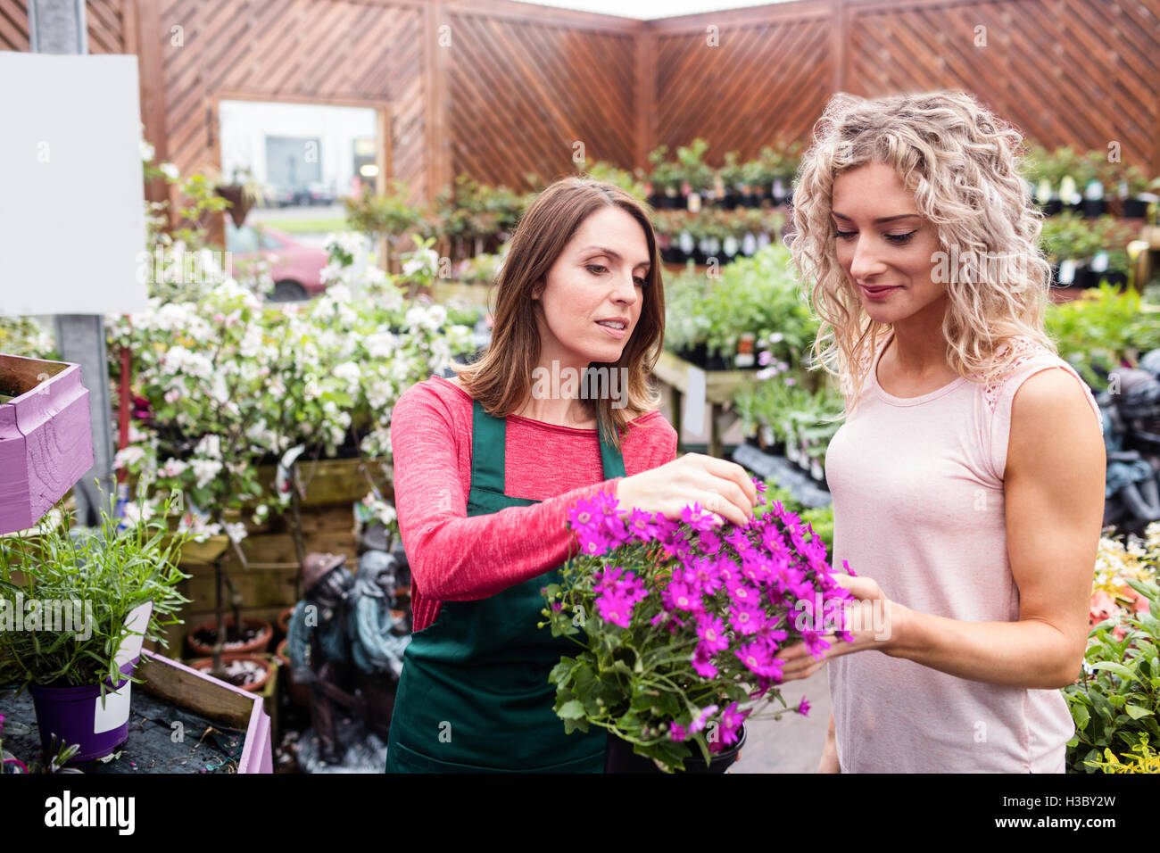 Donner des conseils à fleuriste woman shopping pour les fleurs Banque D'Images