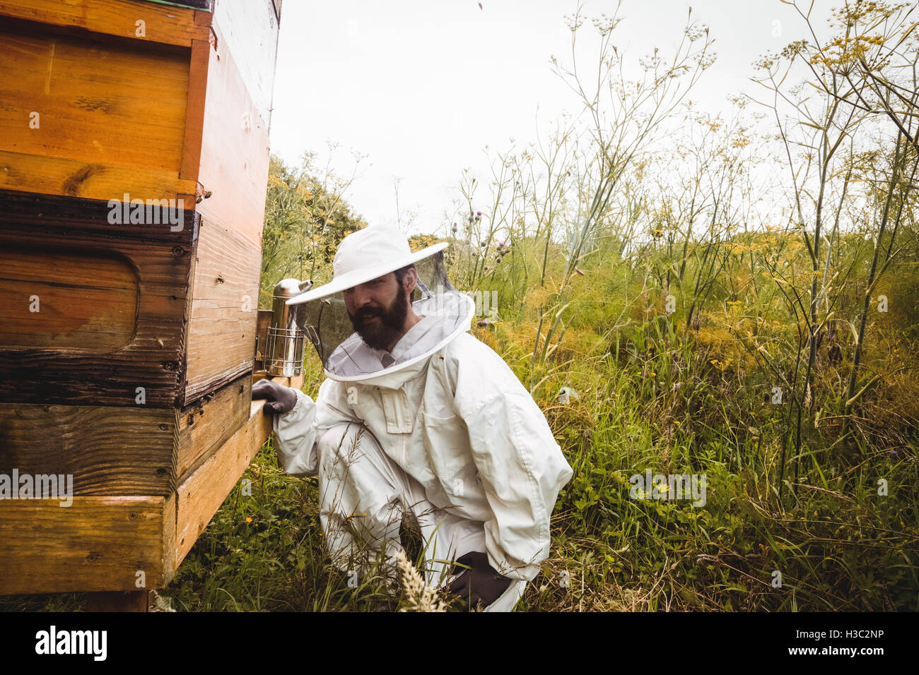 À l'aide de l'apiculteur fumeur d'abeilles Banque D'Images