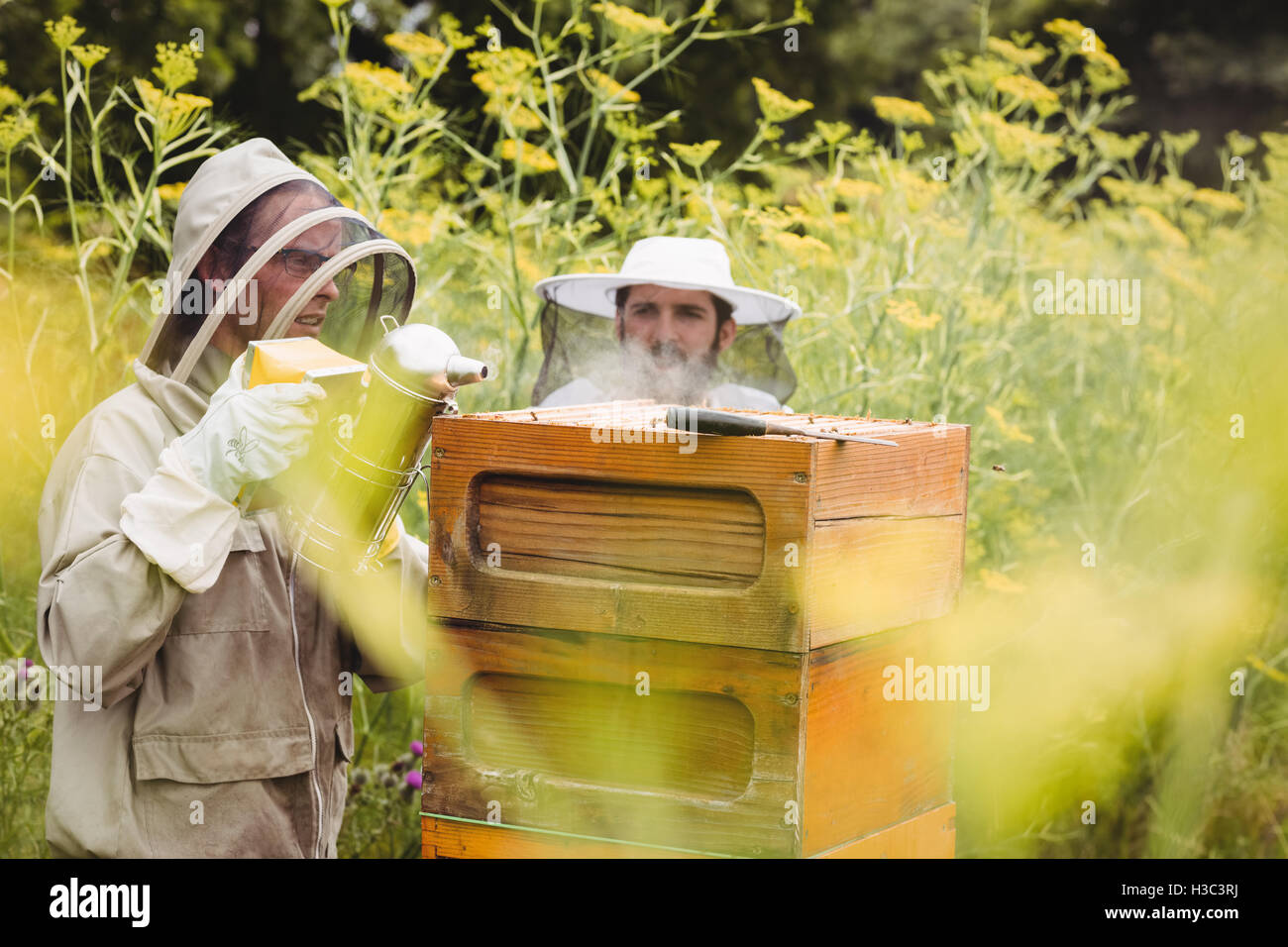 À l'aide d'apiculteurs fumeur d'abeilles Banque D'Images