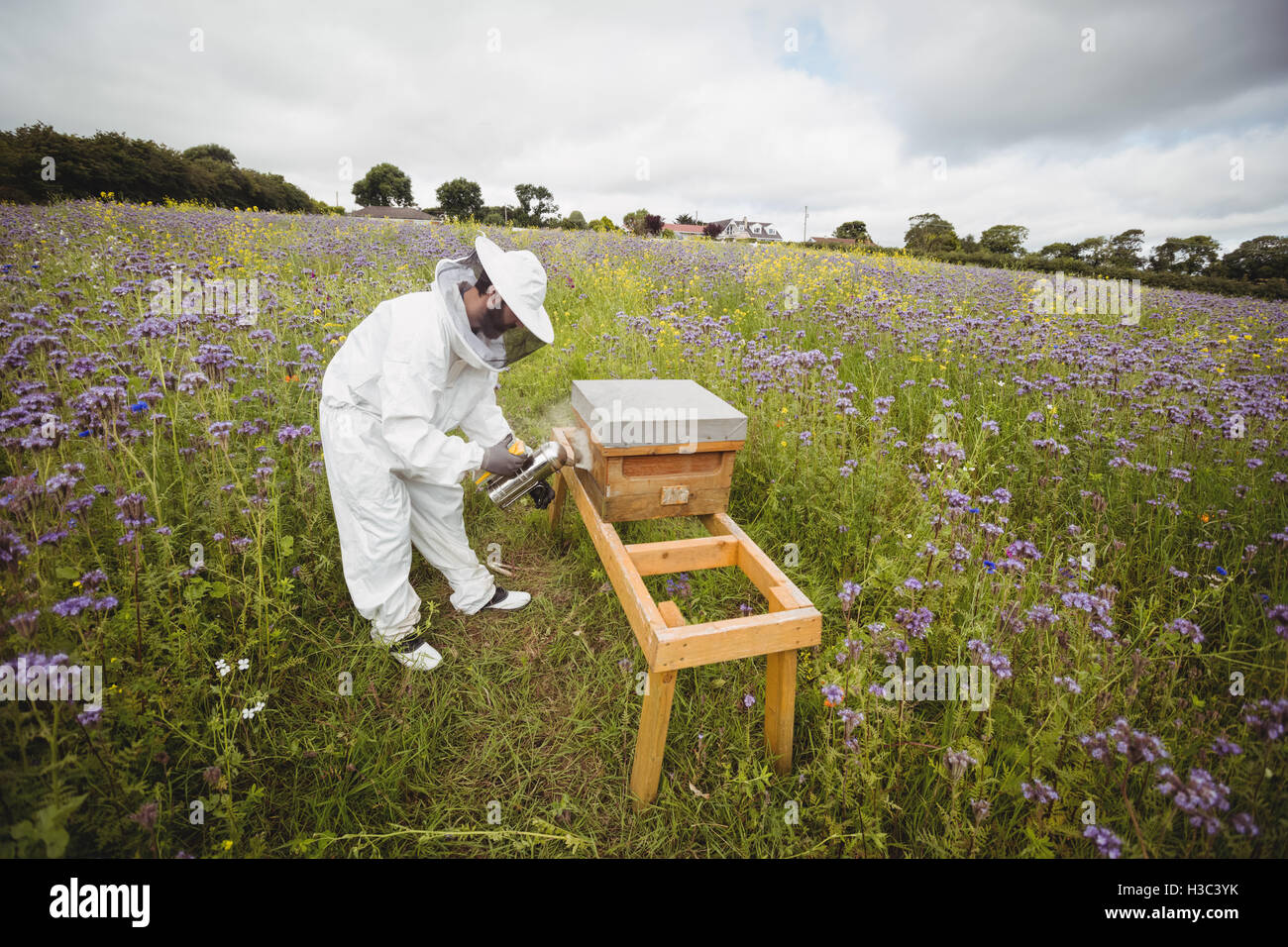 À l'aide de l'apiculteur fumeur d'abeilles Banque D'Images