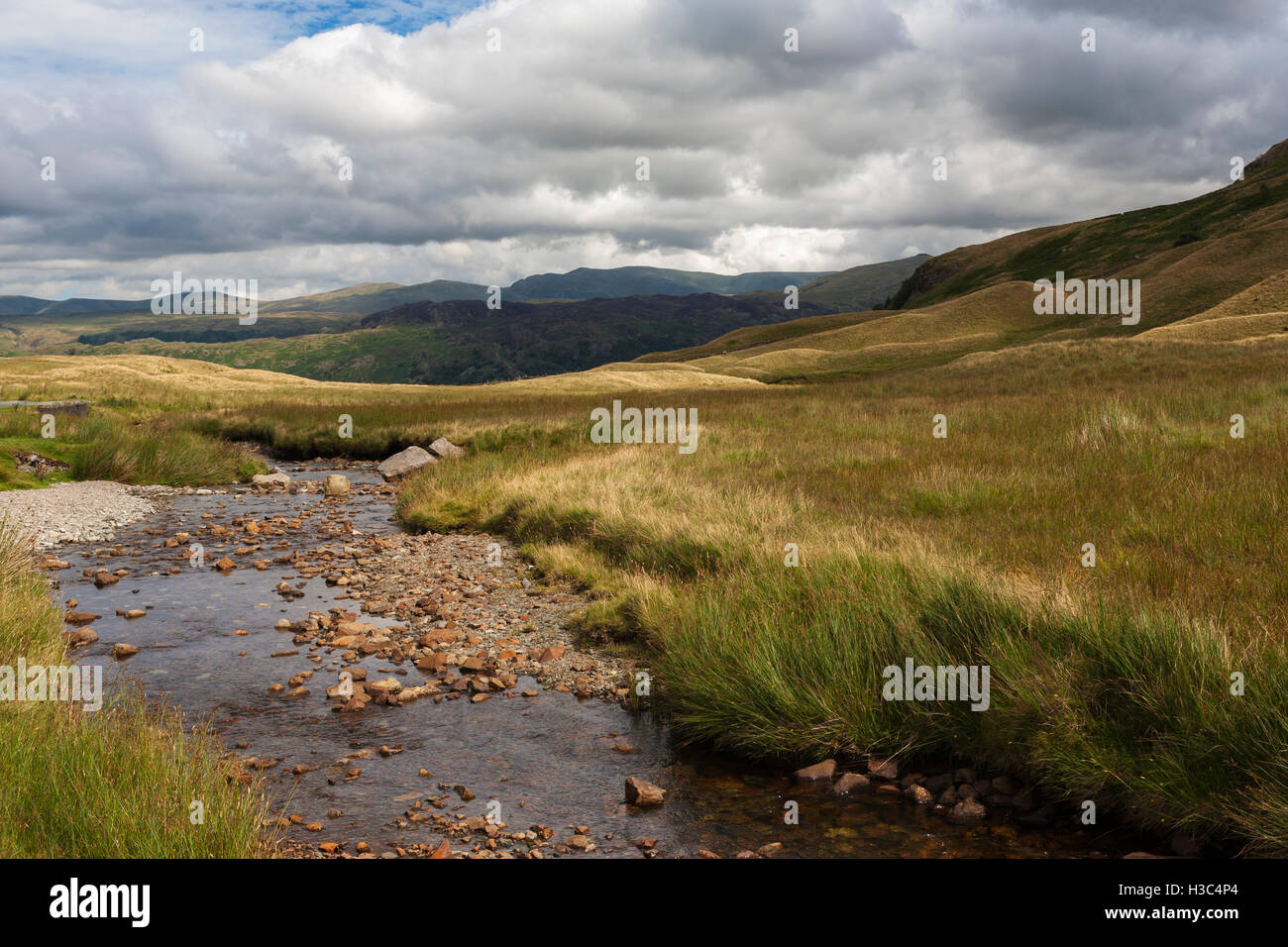 Peu d'Gatesgarthdale et Hause Gill à Borrowdale et Helvellyn vers, Lake District, Cumbria, Angleterre Banque D'Images