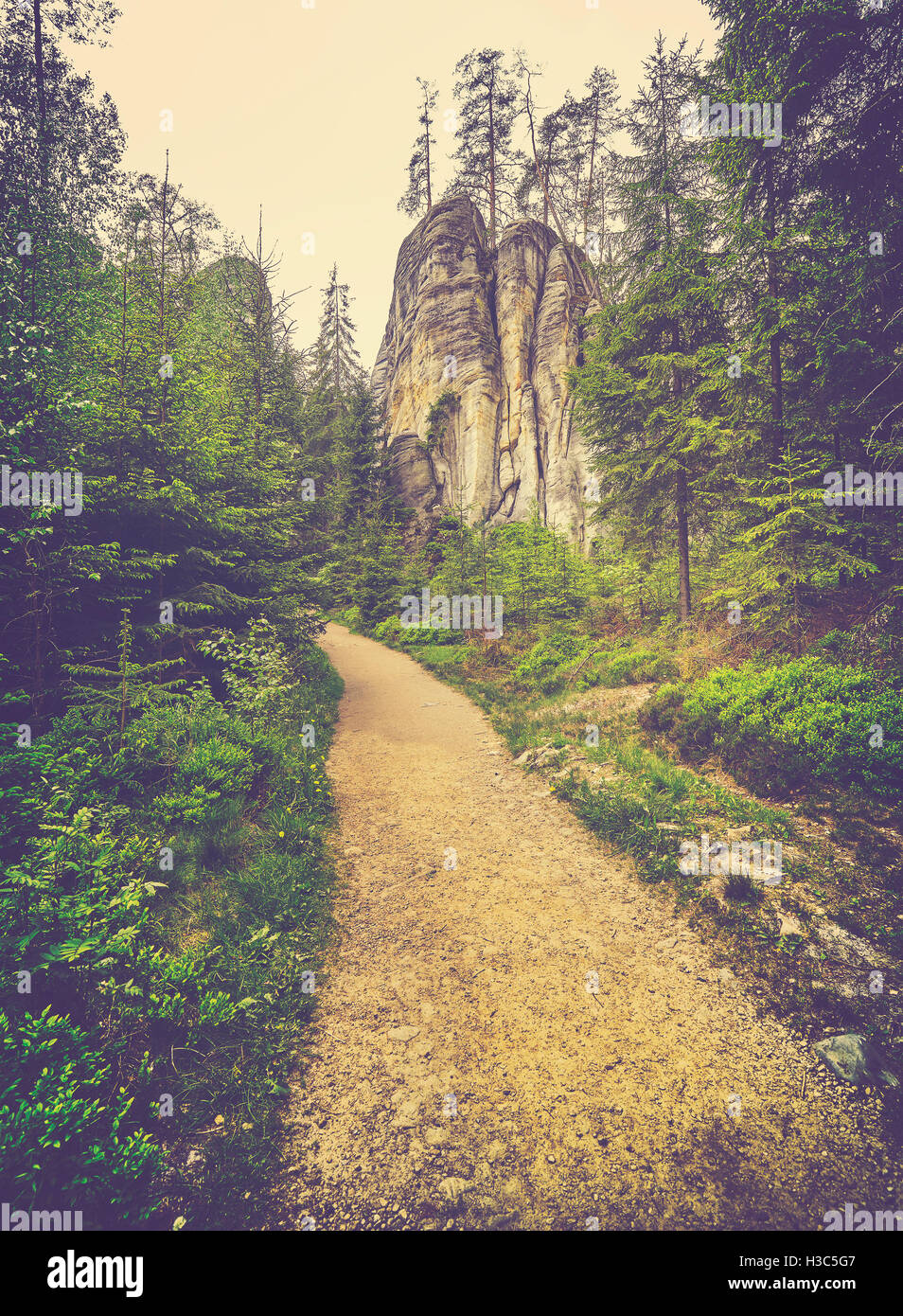Vintage photo aux couleurs d'un chemin dans la forêt mystérieuse, Adrspach Teplice rock ville, République tchèque. Banque D'Images