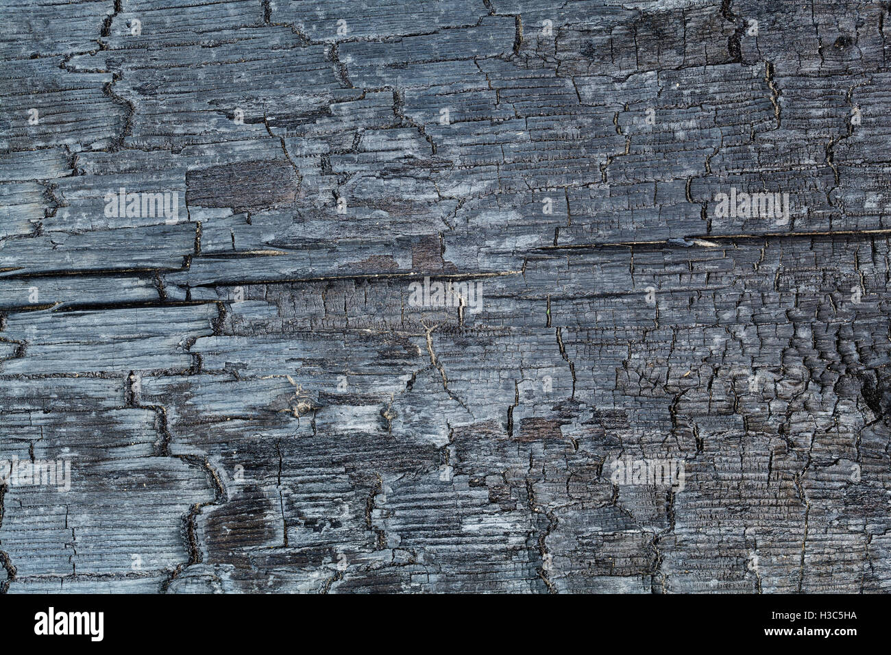 La texture du bois brûlé close-up fond de bois carbonisé Banque D'Images