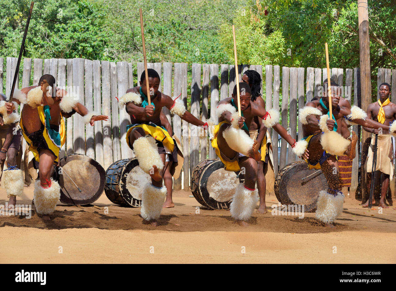Troupe traditionnelle swazie chantant et dansant au village culturel de Mantenga swazi (Ligugu Lemaswati) Vallée d'Ezulwini, eSwatini (anciennement Swaziland) Banque D'Images