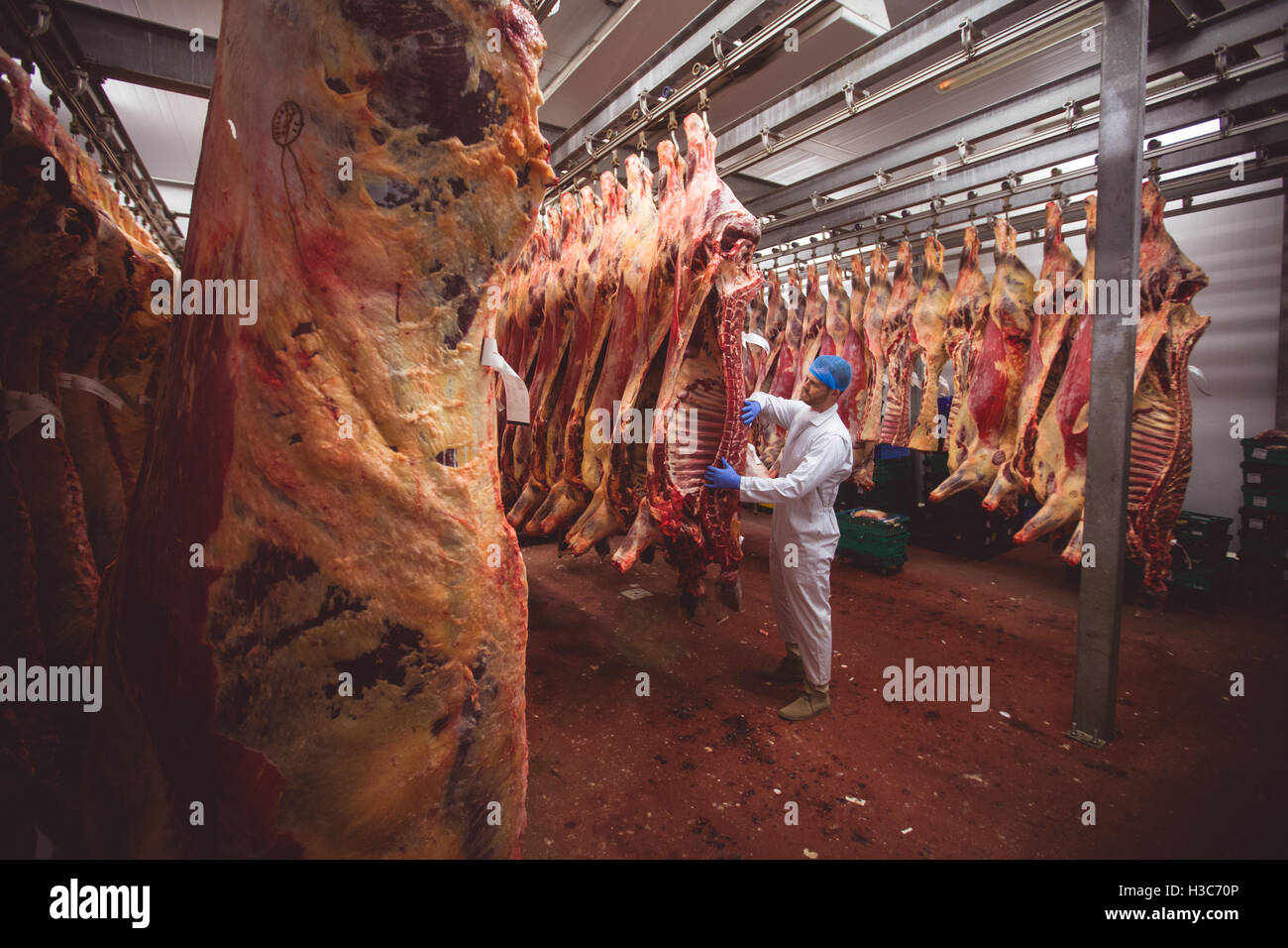 Butcher pendaison viande rouge dans la salle de stockage Banque D'Images